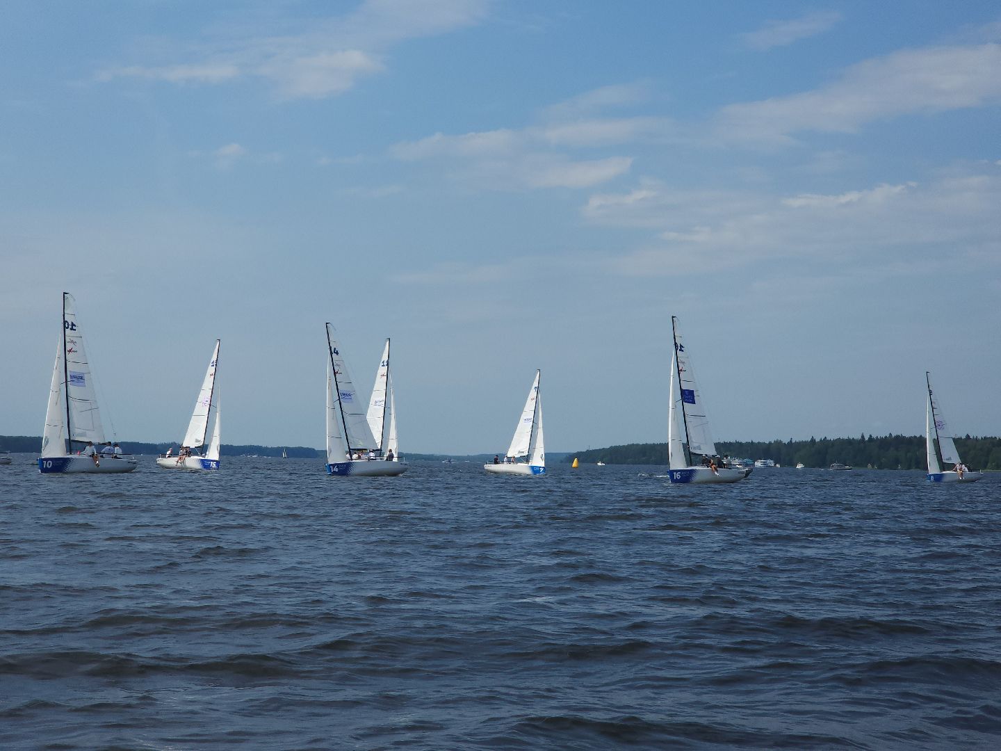 мытищи, регата, парусный спорт,