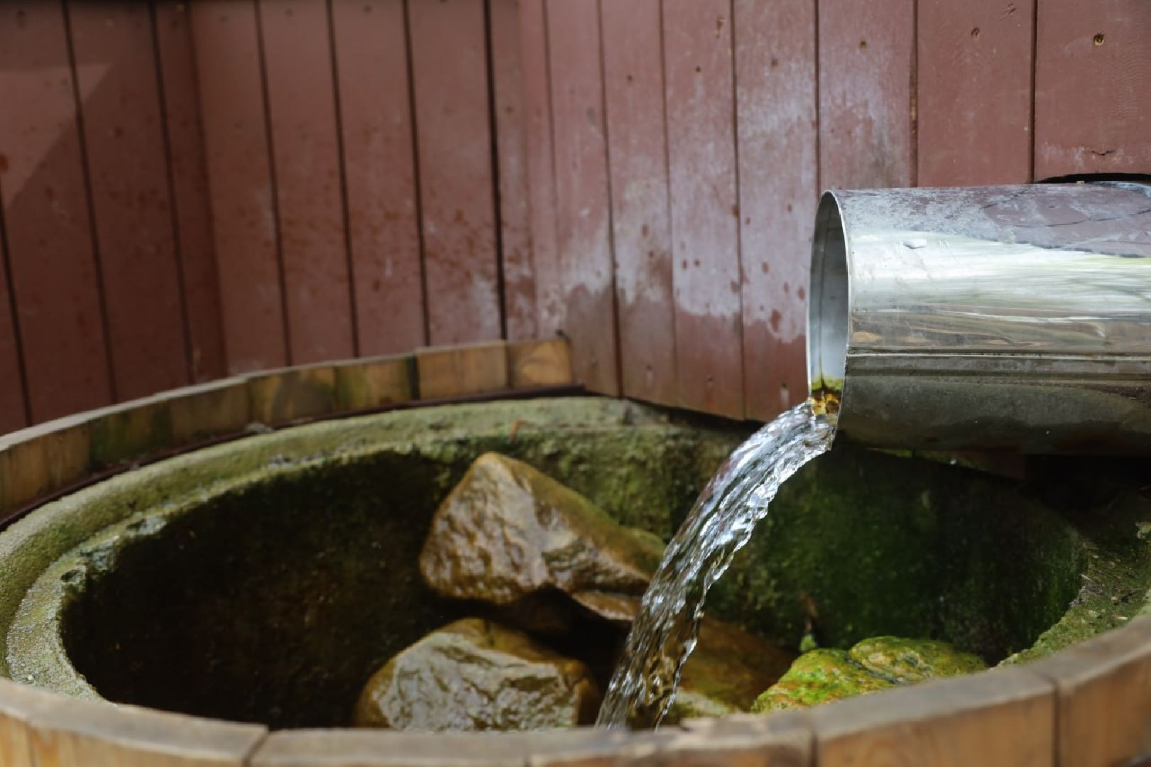 Серпухов, Подмосковье, благоустройство, родник, РодникиПодмосковья