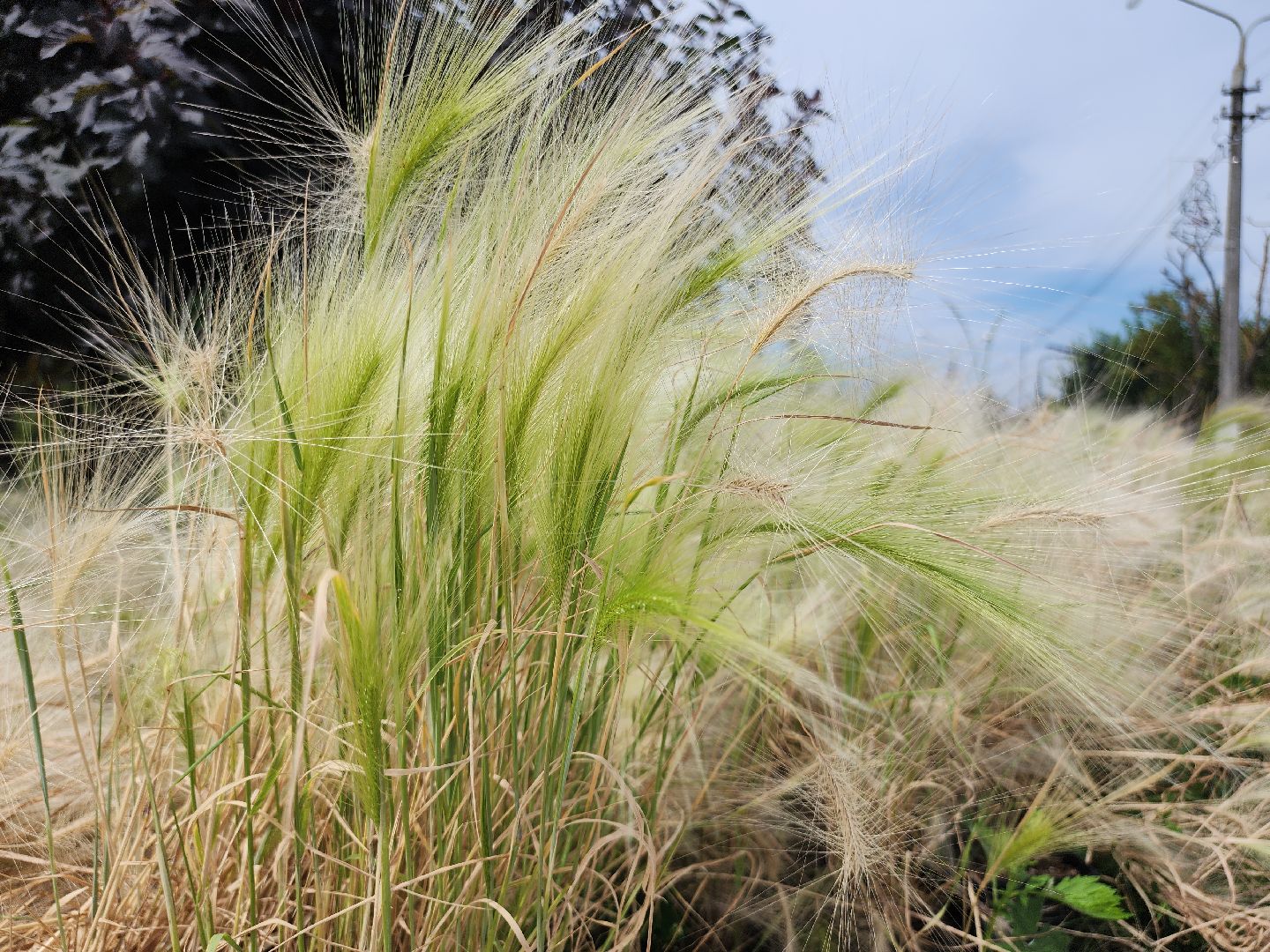 Егорьевск , Подмосковье , Московская область ,