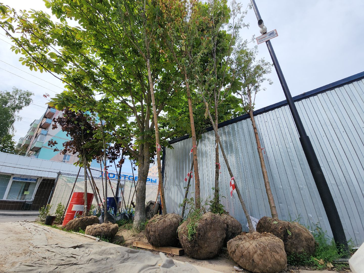 Егорьевск , Подмосковье , Московская область ,