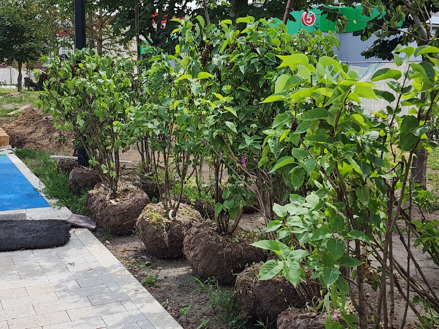 Егорьевск , Подмосковье , Московская область ,