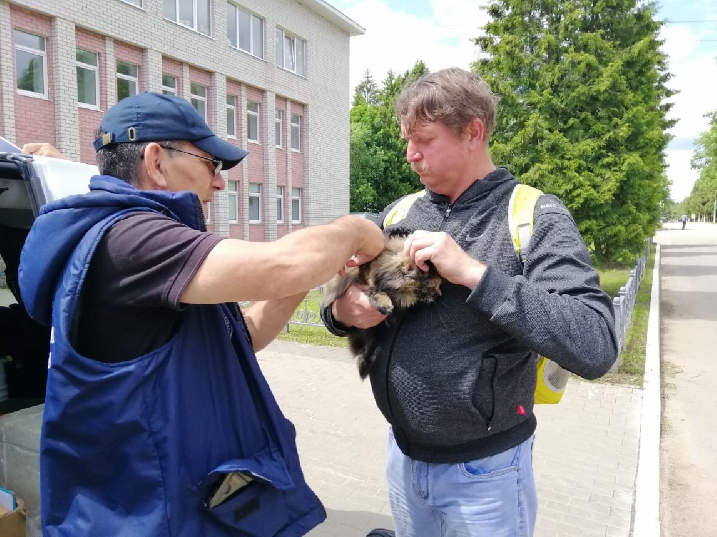 городской округ восход, вакцинация животных, вакцинация от бешенства,