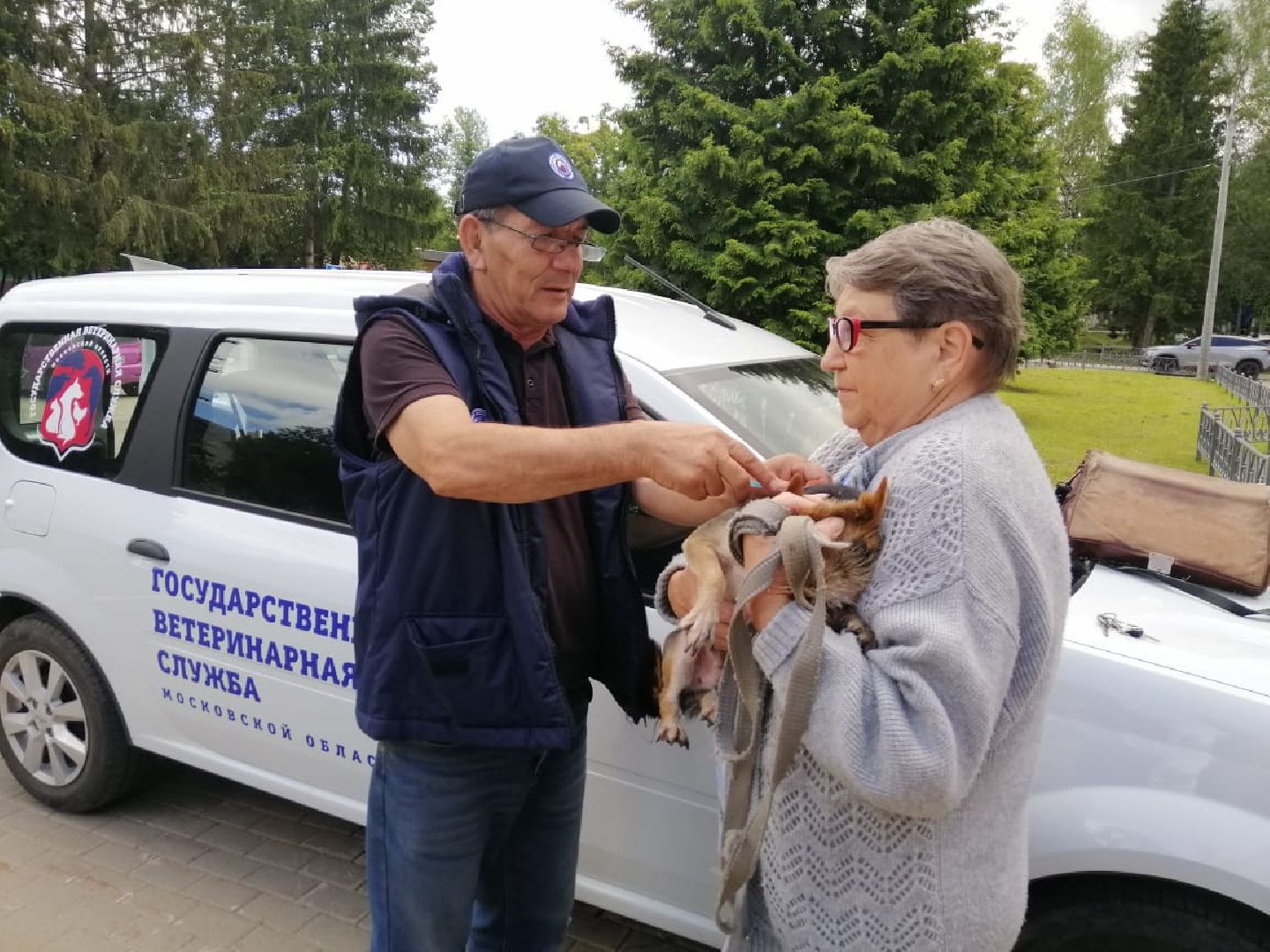 городской округ восход, вакцинация животных, вакцинация от бешенства,