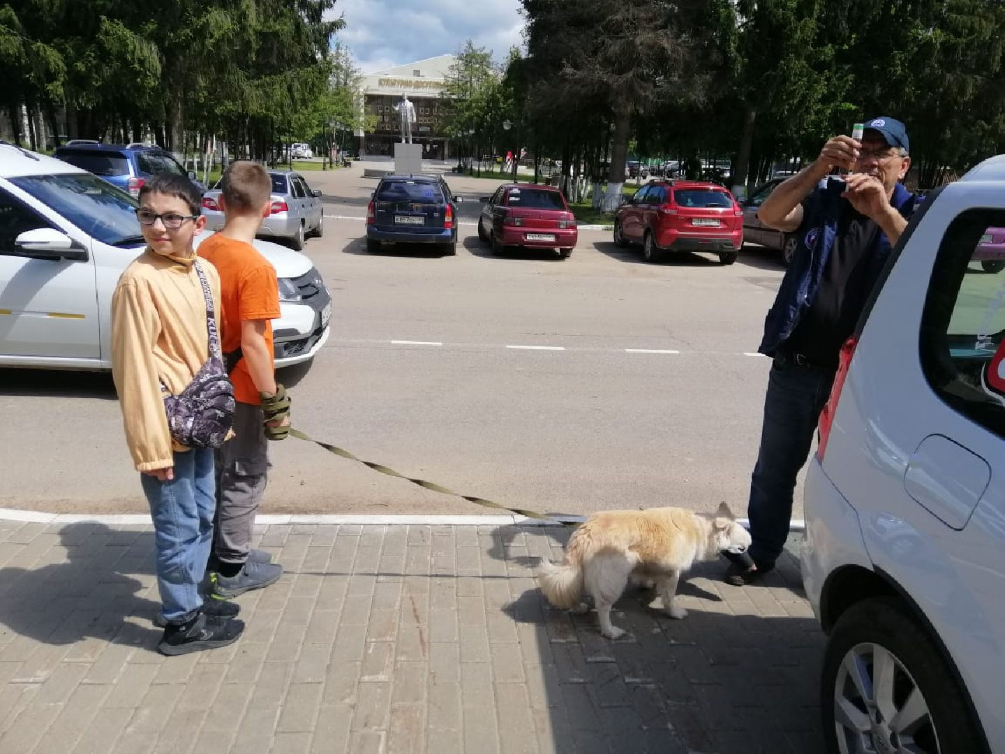 городской округ восход, вакцинация животных, вакцинация от бешенства,