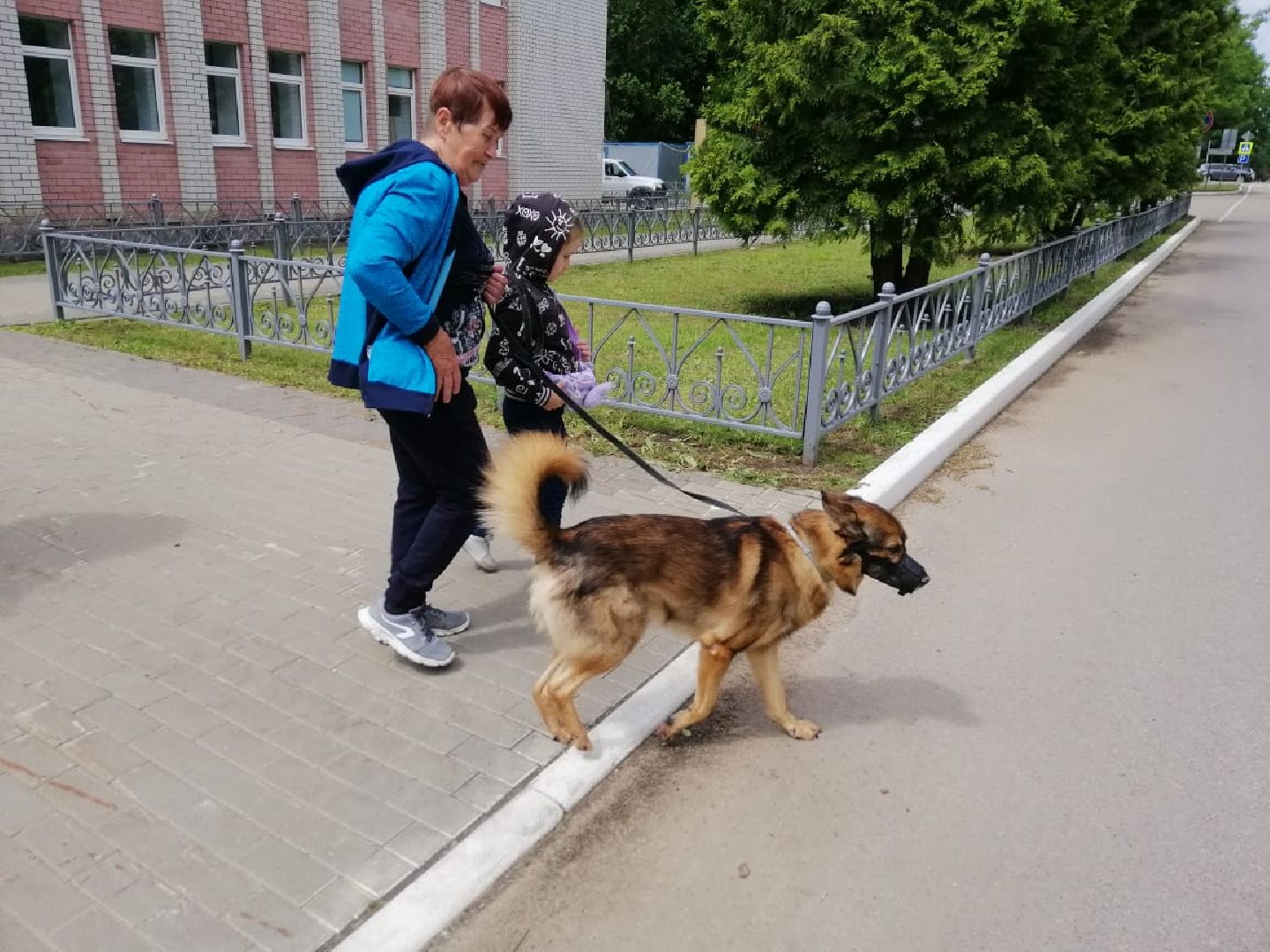 городской округ восход, вакцинация животных, вакцинация от бешенства,