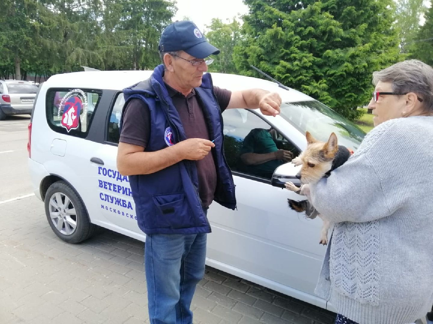 городской округ восход, вакцинация животных, вакцинация от бешенства,