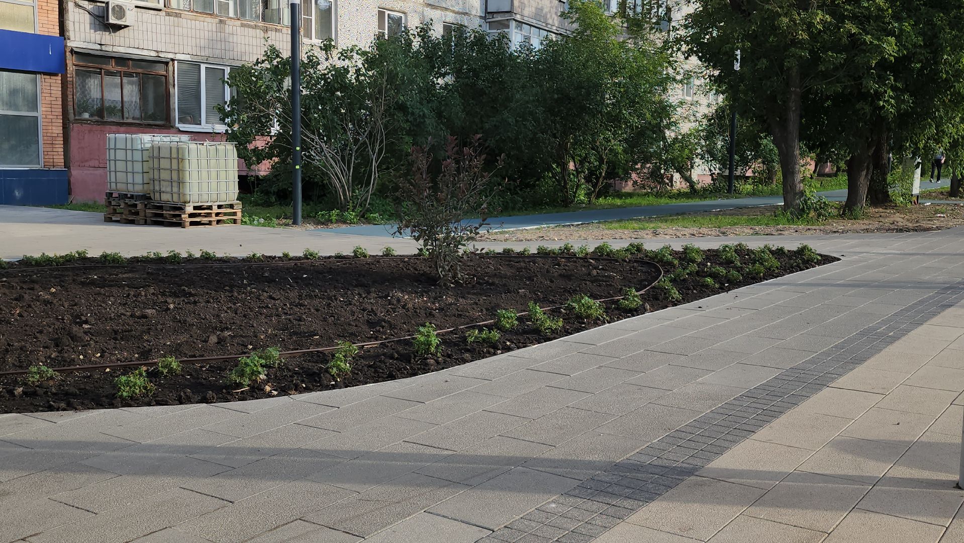 щёлково, сквер вдоль пролетарского проспекта, благоустройство сквера,