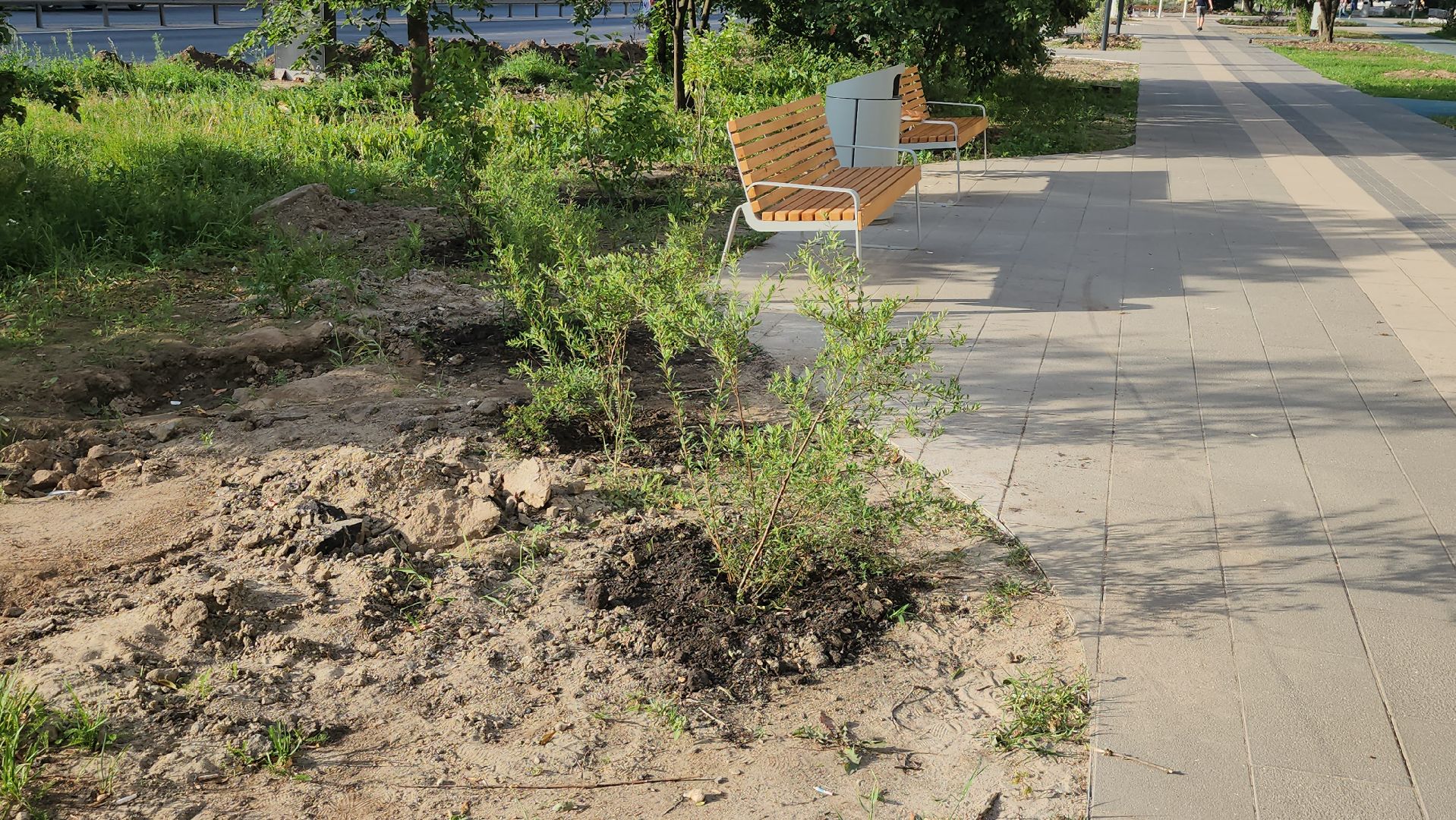 щёлково, сквер вдоль пролетарского проспекта, благоустройство сквера,