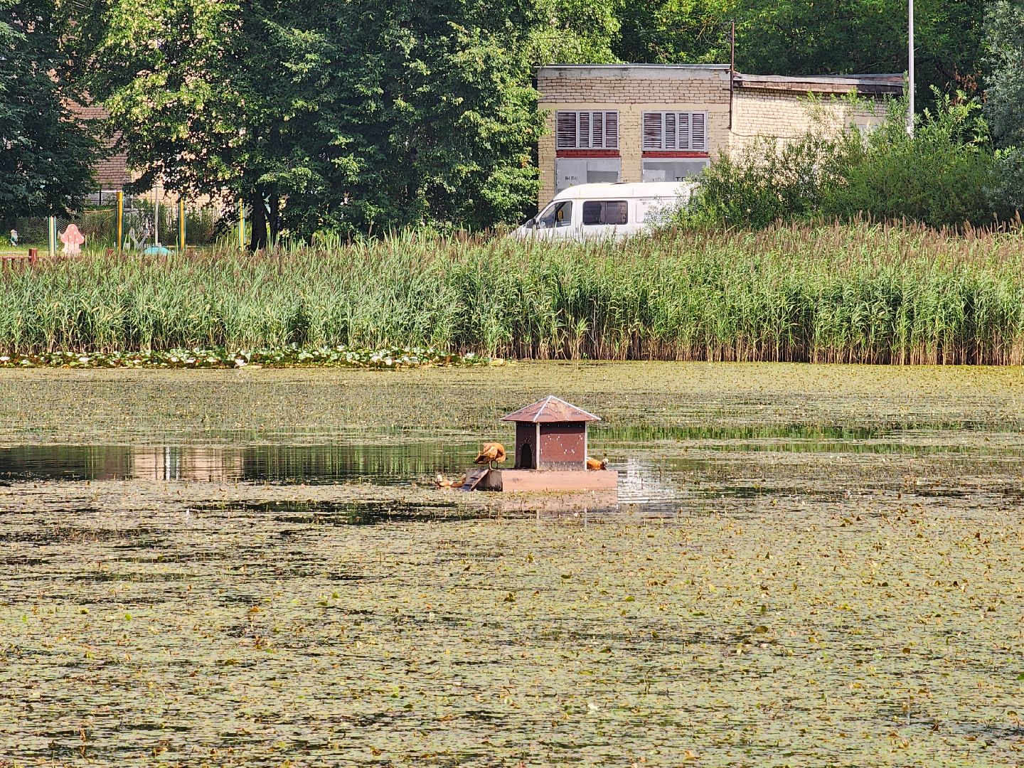 королёв, благоустройство , сквер героев курсантов,