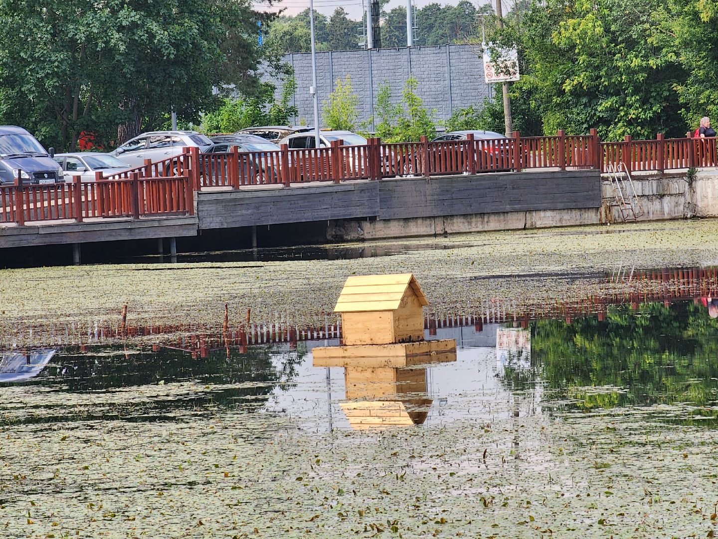 королёв, благоустройство , сквер героев курсантов,