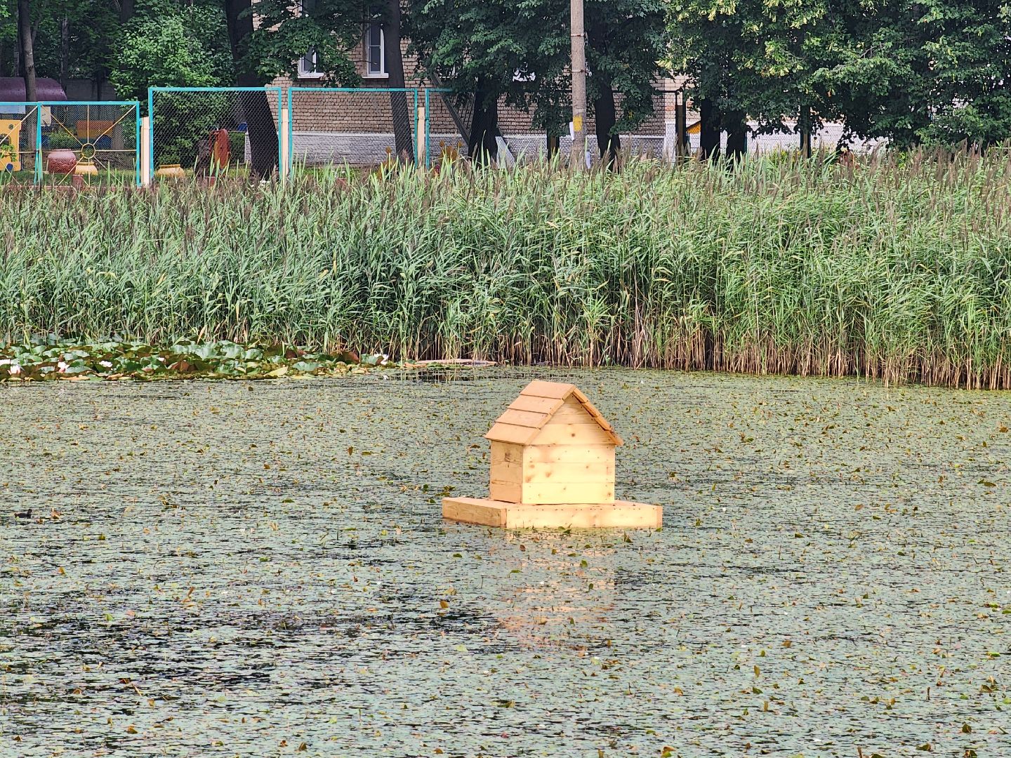 королёв, благоустройство , сквер героев курсантов,