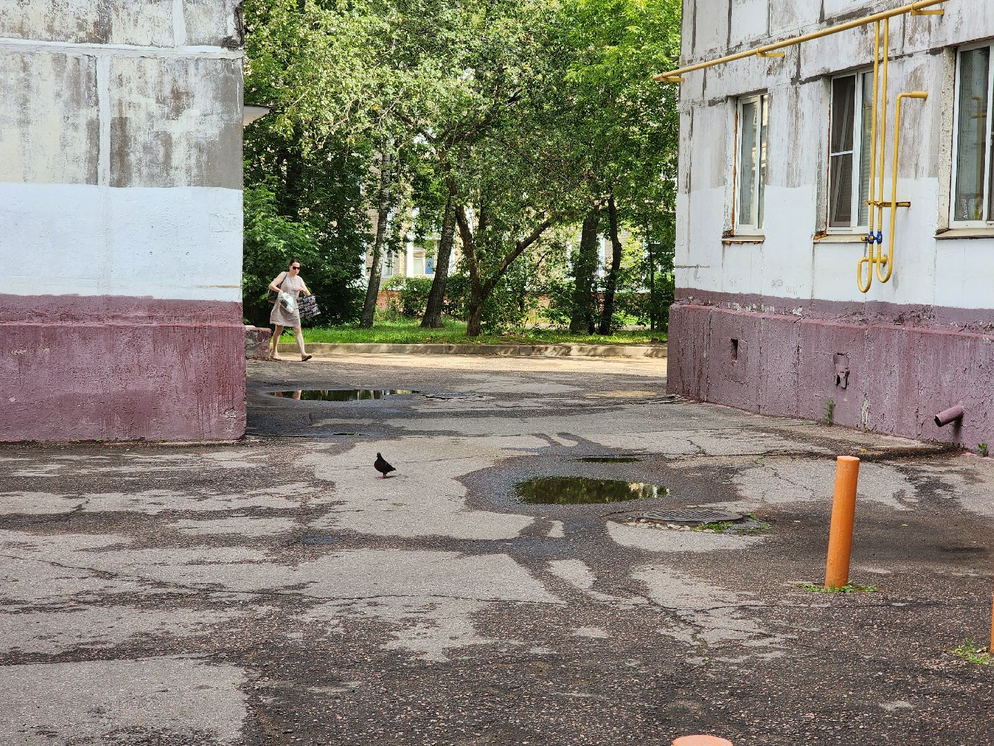 королёв, благоустройство , добродел,