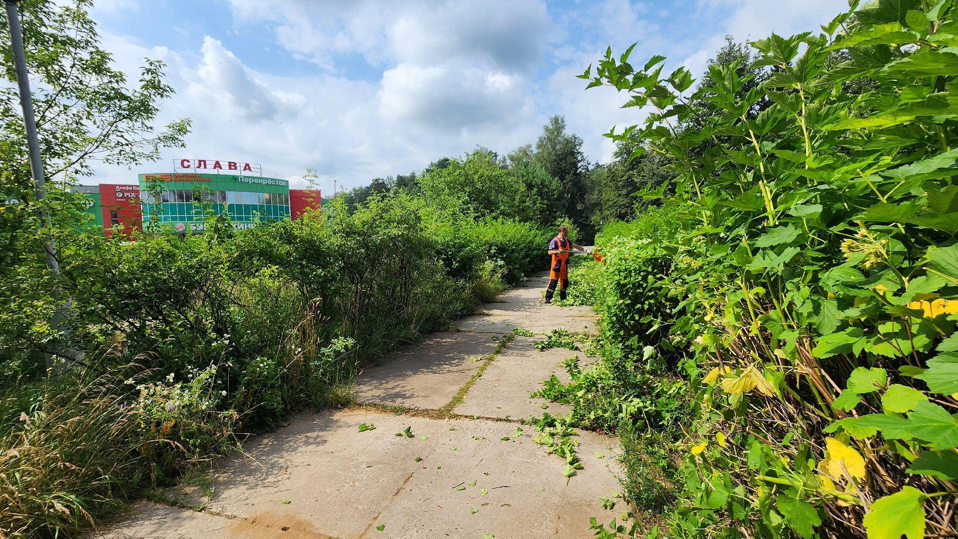 комбинат благоустройства, протвино, стрижка кустов,