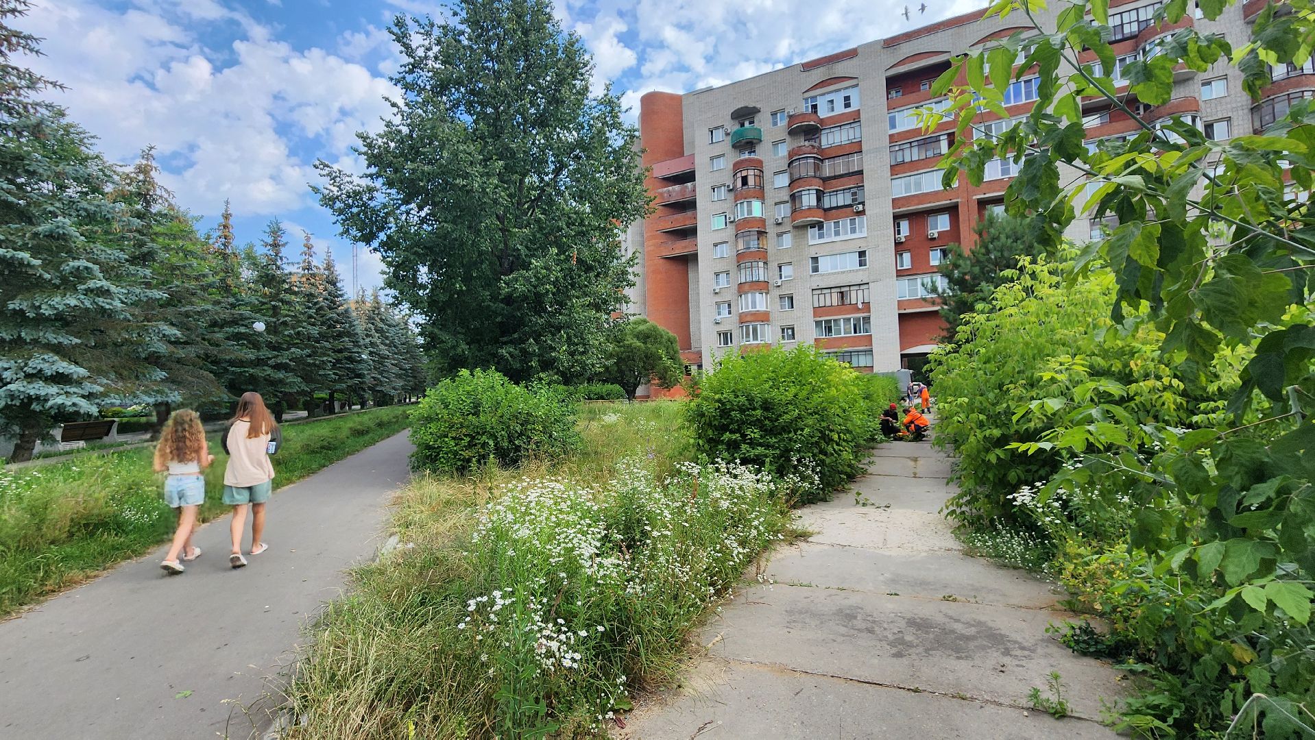 комбинат благоустройства, протвино, стрижка кустов,