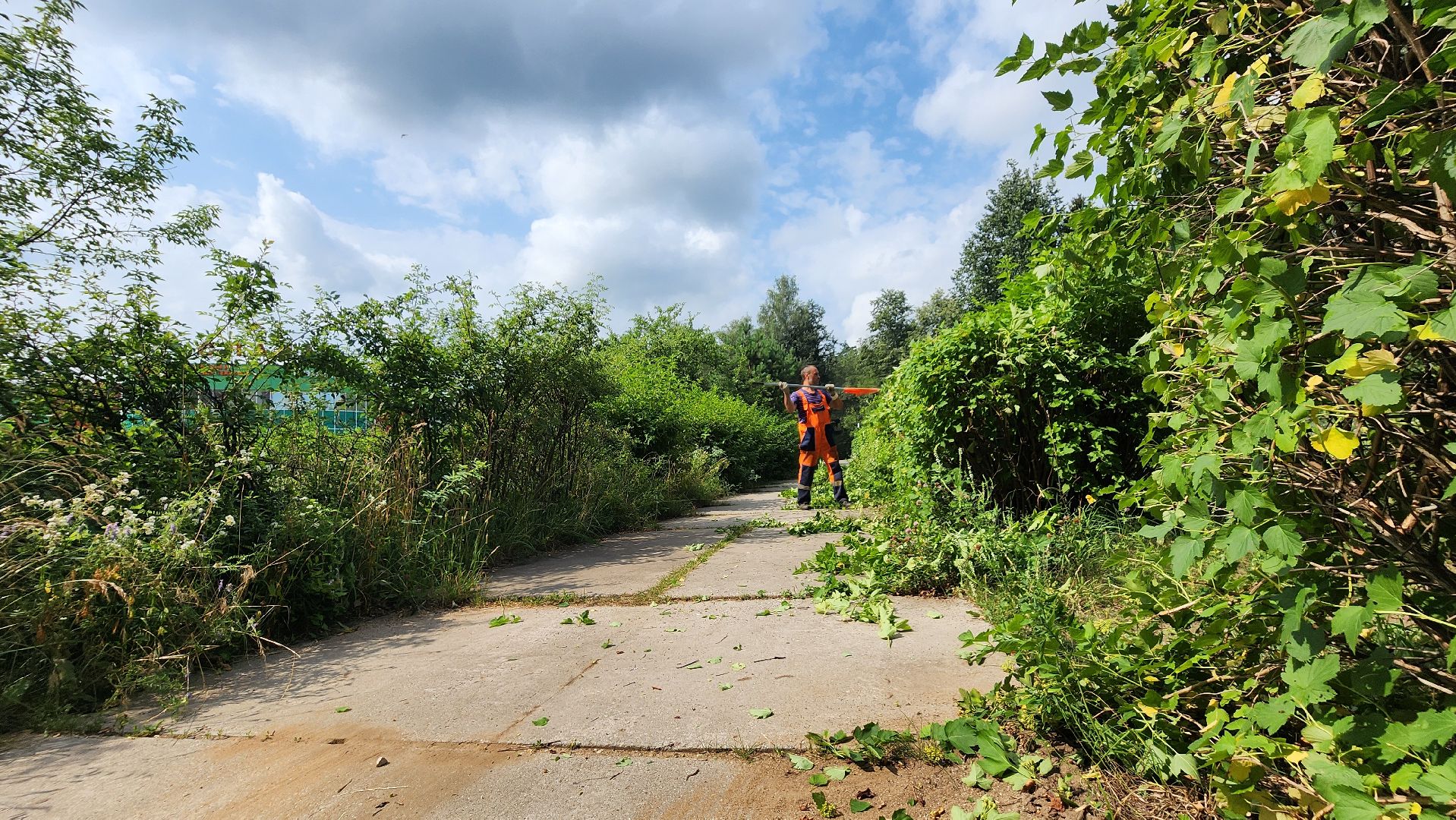 комбинат благоустройства, протвино, стрижка кустов,