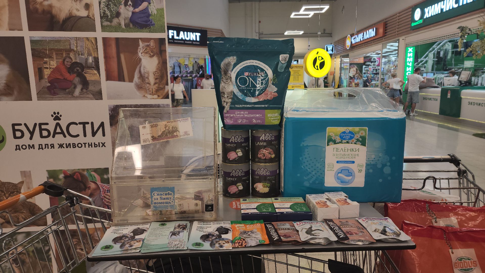 пушкино, бездомные животные, приют для бездомных животных, помощь животным, корма для животных, сбор кормов, сбор корма для животных, волонтеры,