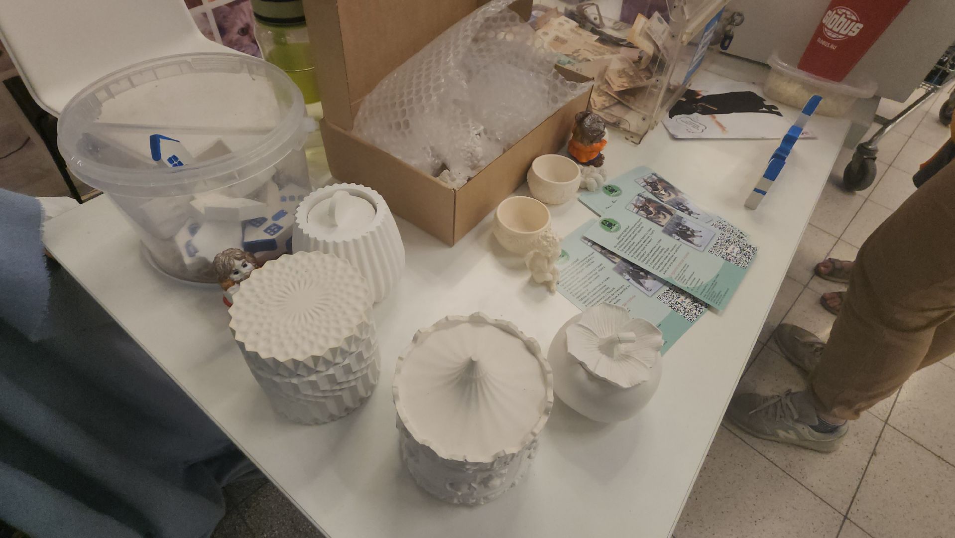 пушкино, бездомные животные, приют для бездомных животных, помощь животным, корма для животных, сбор кормов, сбор корма для животных, волонтеры,