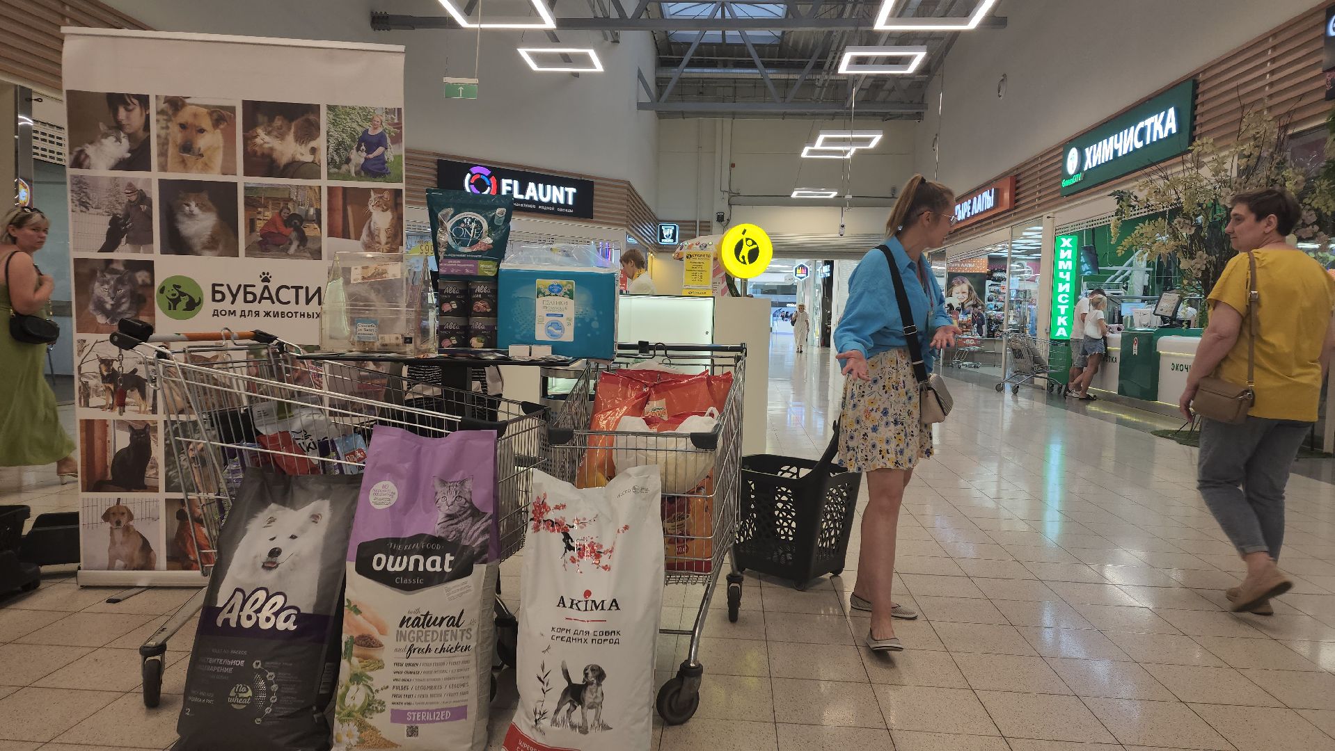 пушкино, бездомные животные, приют для бездомных животных, помощь животным, корма для животных, сбор кормов, сбор корма для животных, волонтеры,