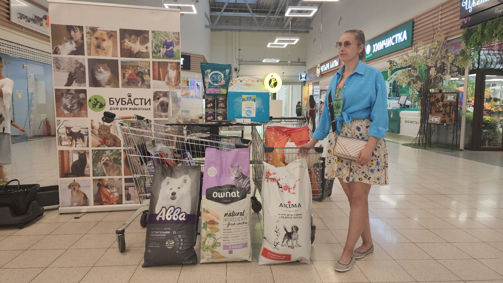 пушкино, бездомные животные, приют для бездомных животных, помощь животным, корма для животных, сбор кормов, сбор корма для животных, волонтеры,