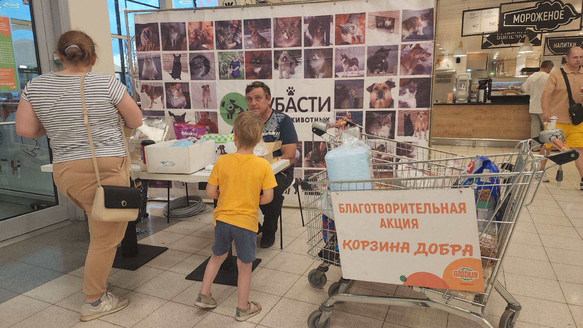 пушкино, бездомные животные, приют для бездомных животных, помощь животным, корма для животных, сбор кормов, сбор корма для животных, волонтеры,