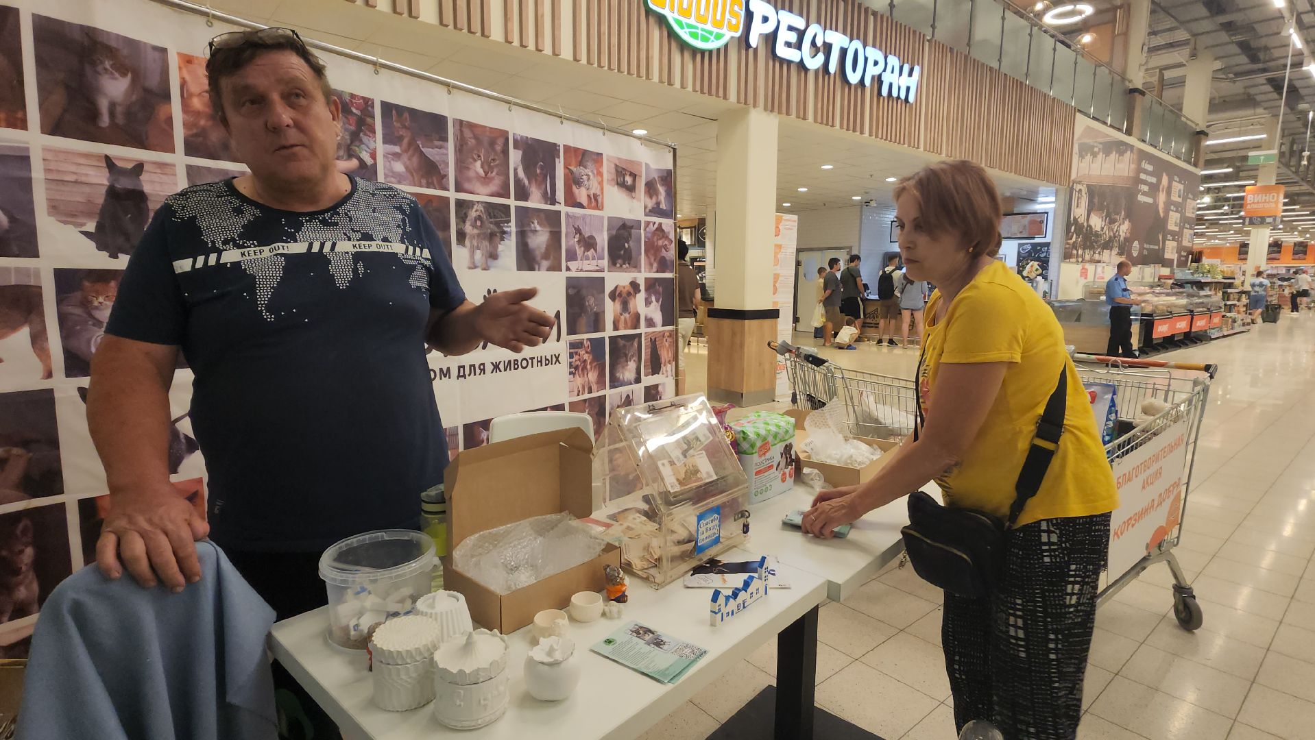 пушкино, бездомные животные, приют для бездомных животных, помощь животным, корма для животных, сбор кормов, сбор корма для животных, волонтеры,