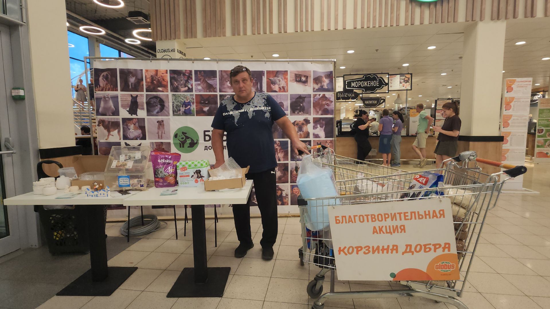 пушкино, бездомные животные, приют для бездомных животных, помощь животным, корма для животных, сбор кормов, сбор корма для животных, волонтеры,