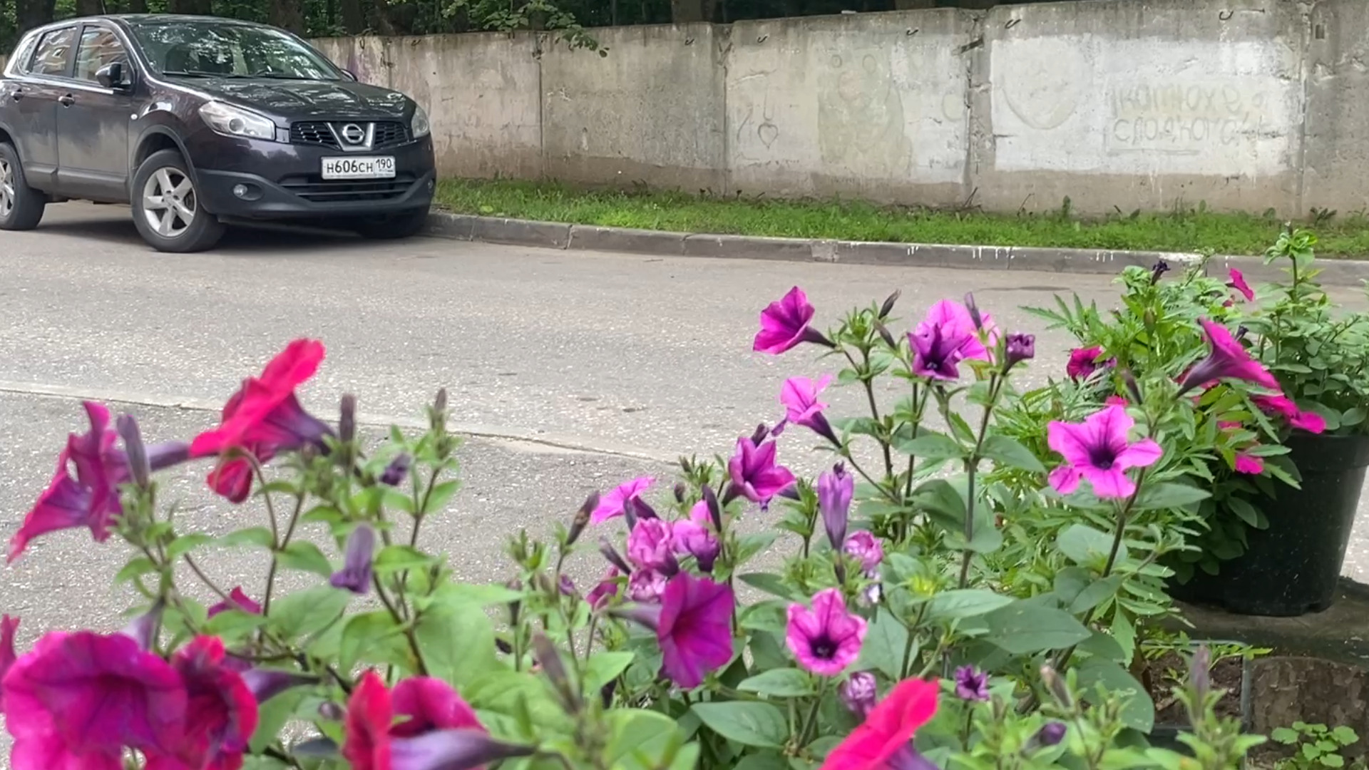 благоустройство территории,   власиха березка, микрорайон березка, микрорайон березка власиха, цветники в березке,