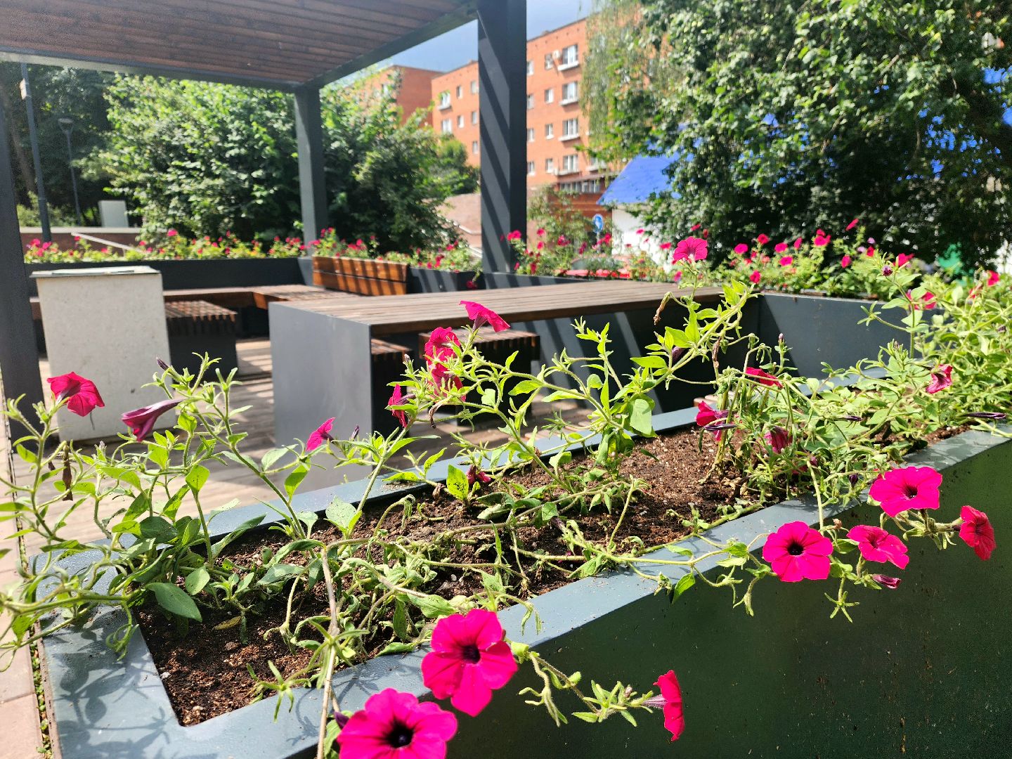 Пущино, благоустройство 2025, цветы, серпухов,