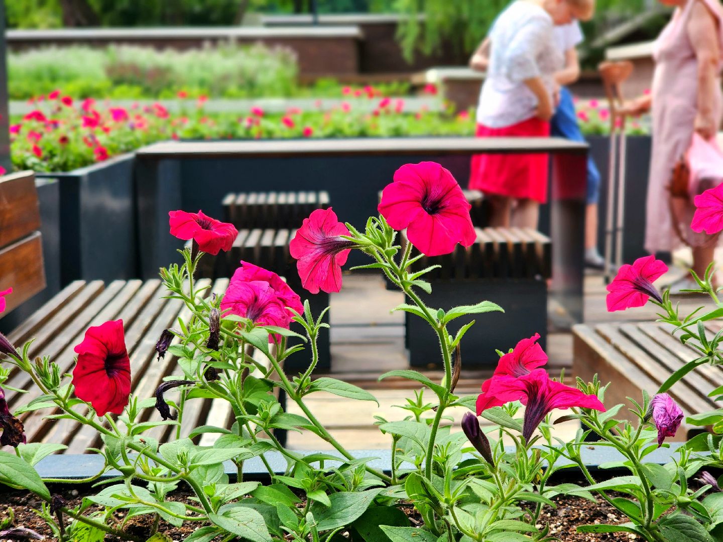 Пущино, благоустройство 2025, цветы, серпухов,