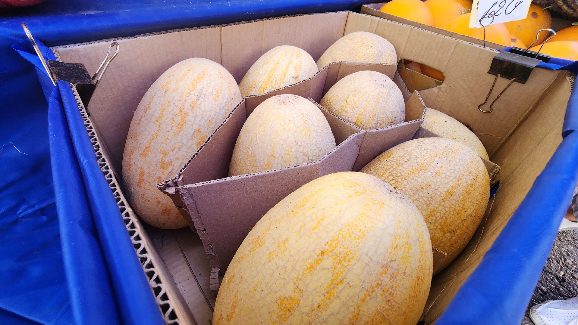 солнечногорск, советская площадь, ярмарка, товары регионов россии, арбузы, дыни,