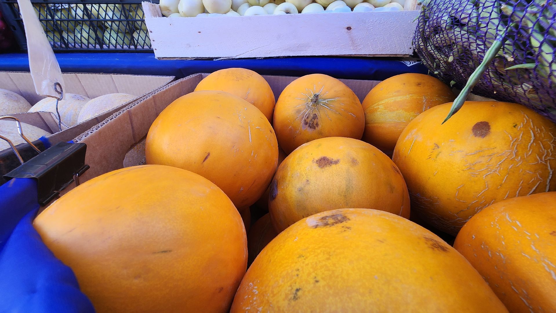 солнечногорск, советская площадь, ярмарка, товары регионов россии, арбузы, дыни,