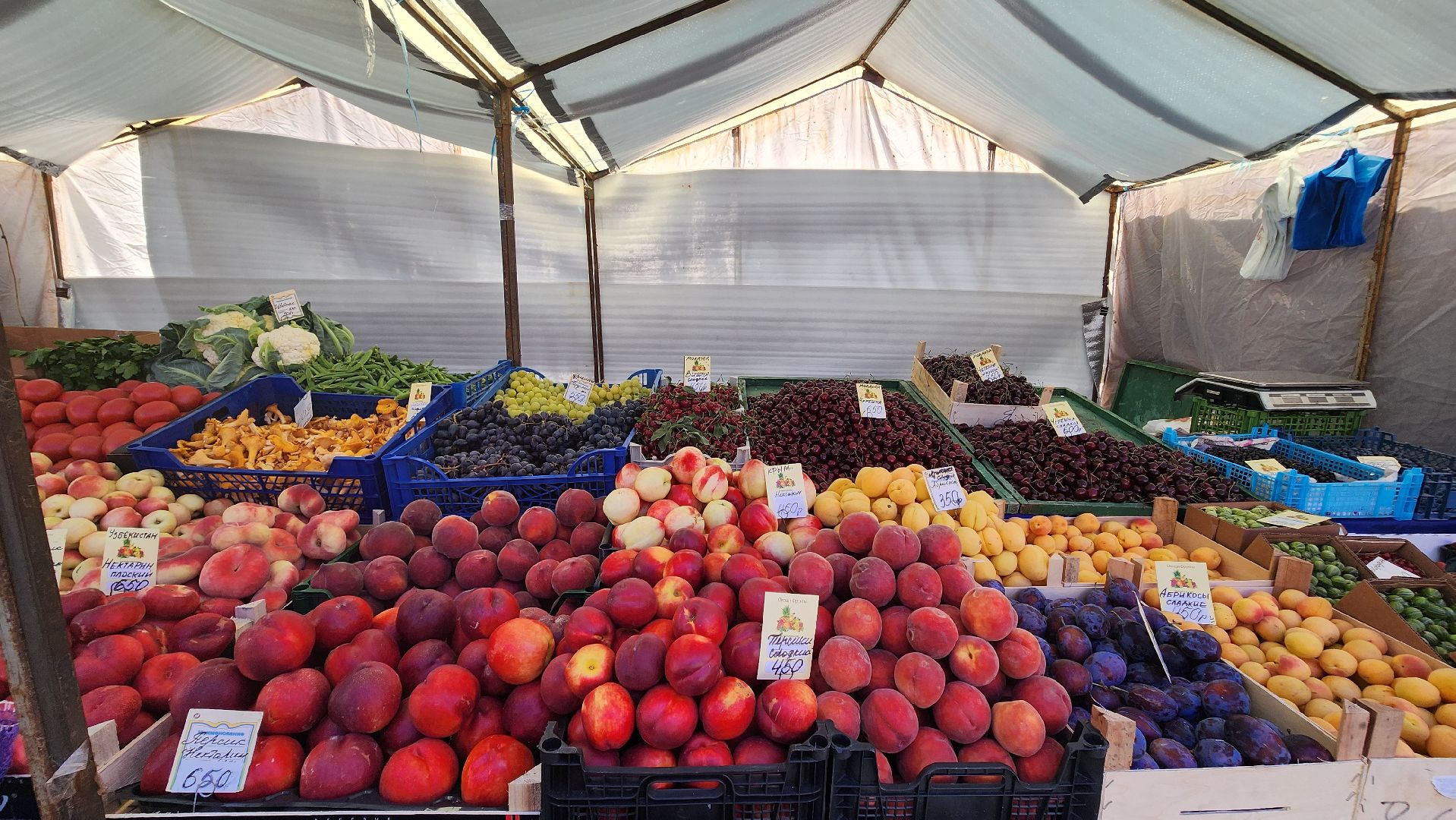 солнечногорск, советская площадь, ярмарка, товары регионов россии, арбузы, дыни,