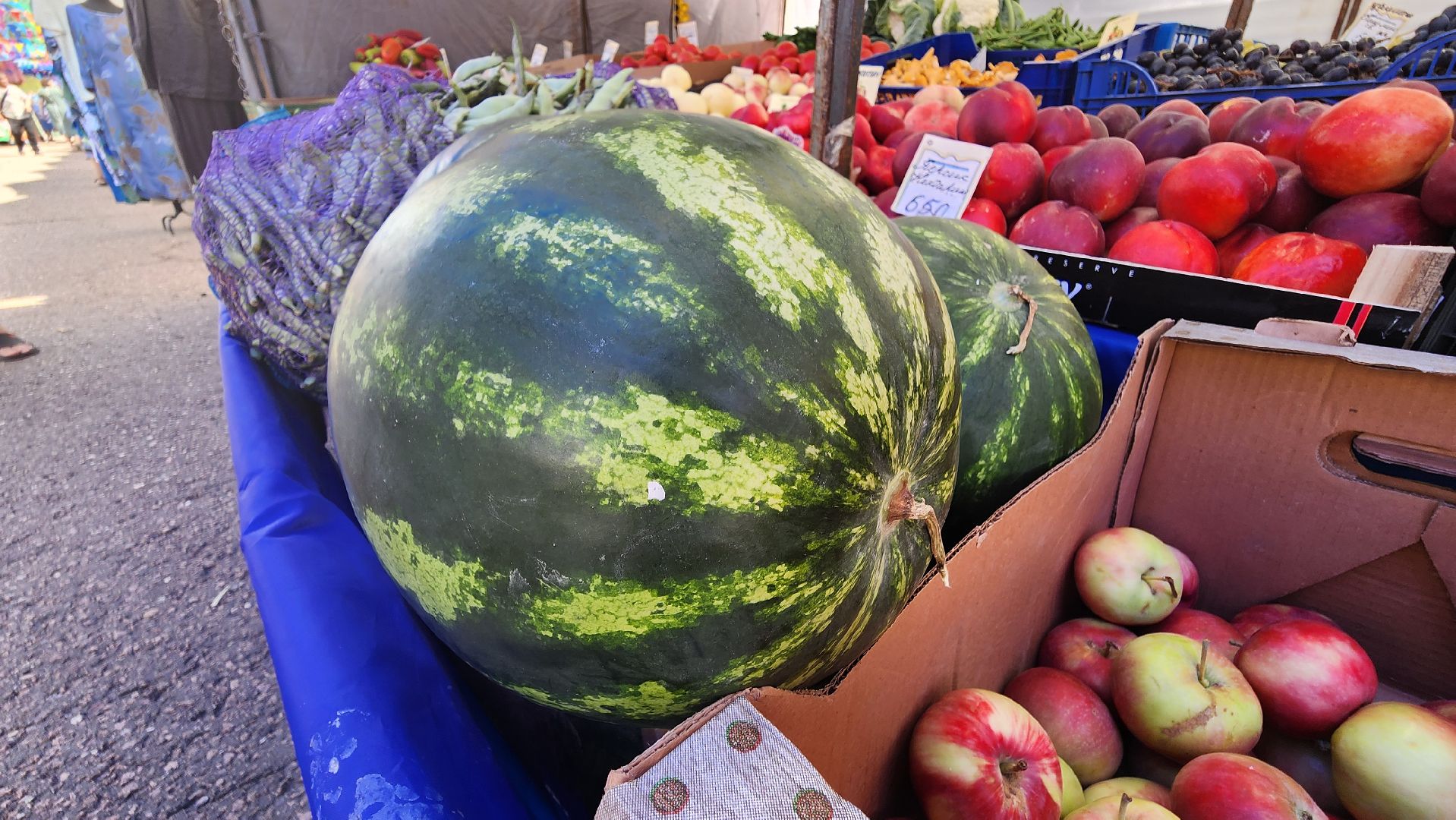 солнечногорск, советская площадь, ярмарка, товары регионов россии, арбузы, дыни,