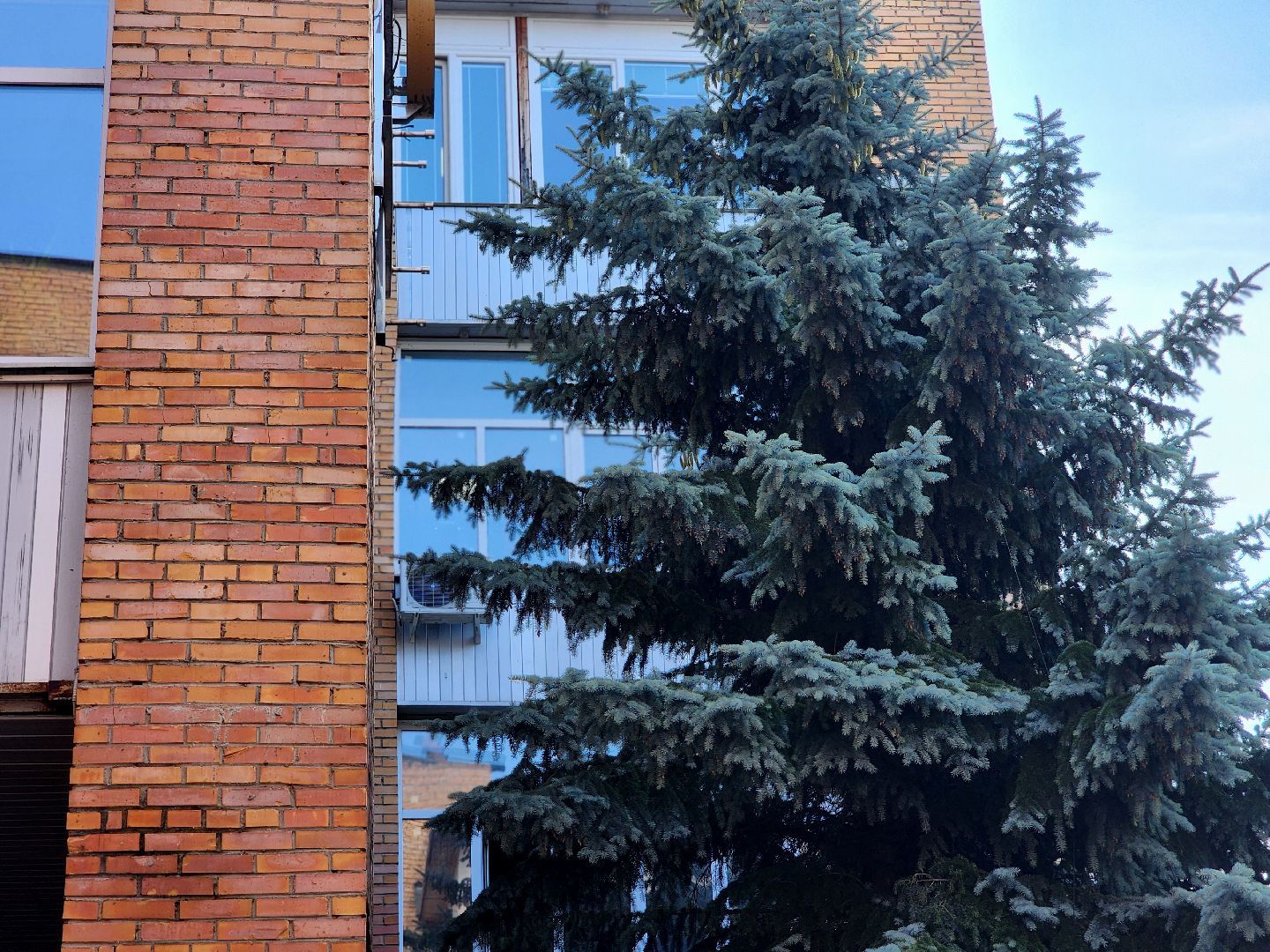 дубна,сно гуд, студенческое научное общество, университет дубна,