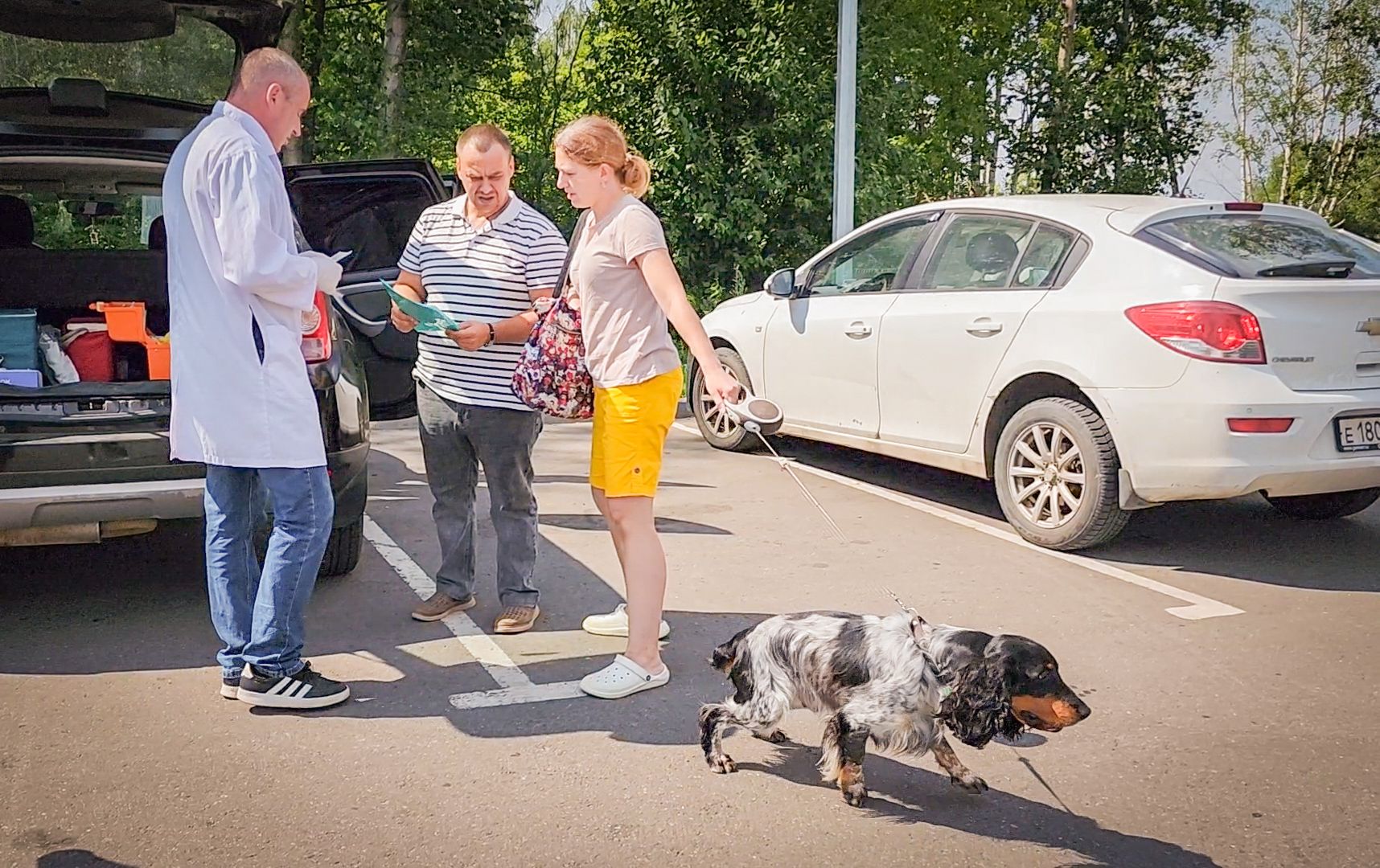 бронницы, чипирование животных в бронницах, вакцинация животных в бронницах,выездная регистрация домашних животных,