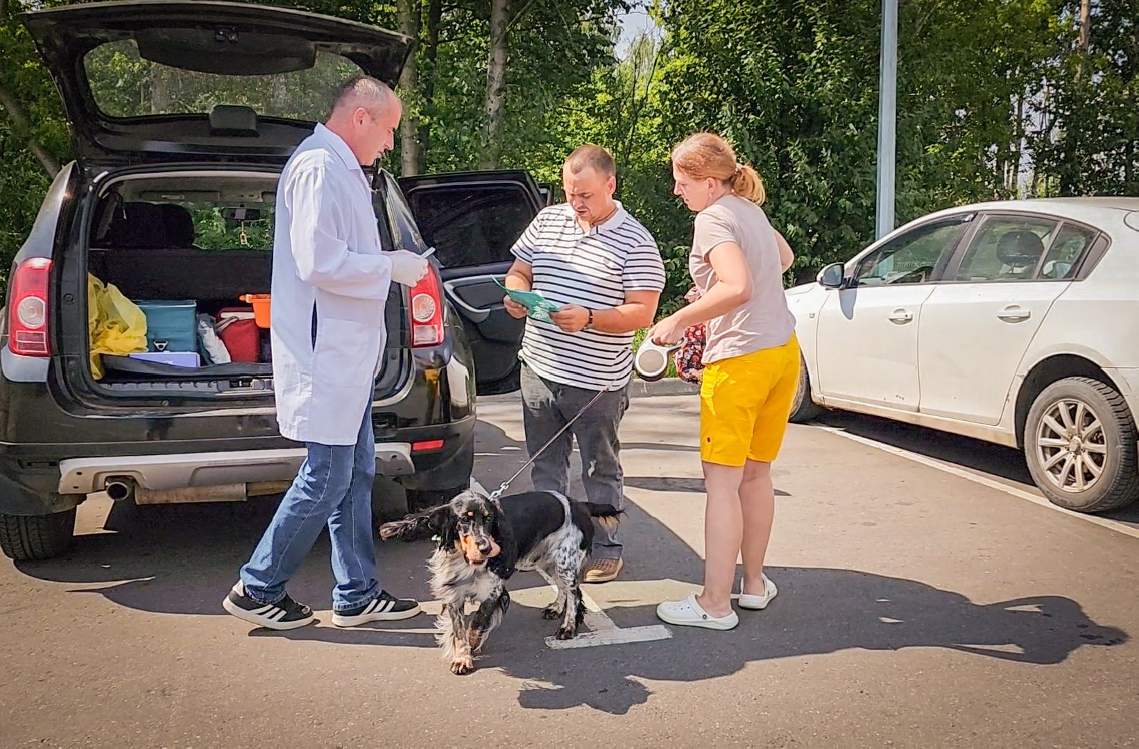 бронницы, чипирование животных в бронницах, вакцинация животных в бронницах,выездная регистрация домашних животных,