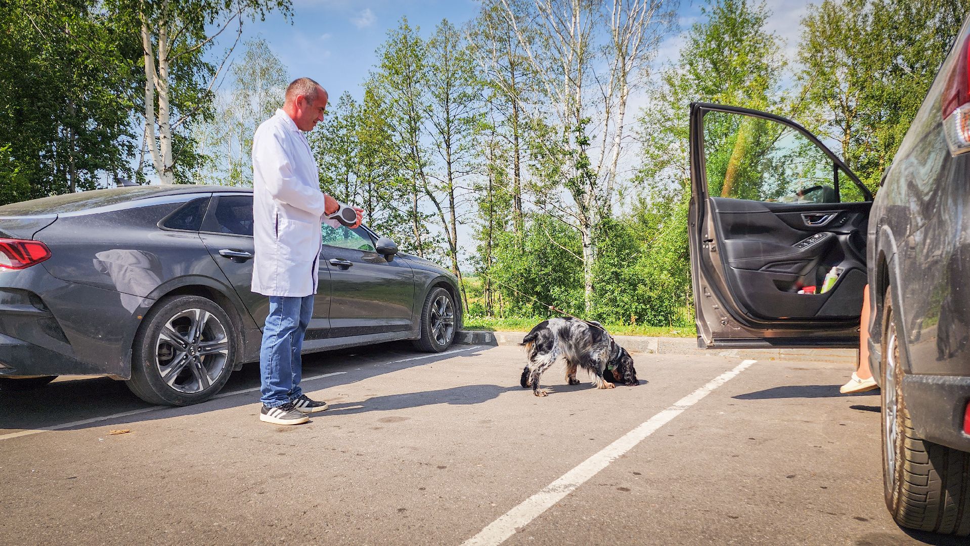 бронницы, чипирование животных в бронницах, вакцинация животных в бронницах,выездная регистрация домашних животных,