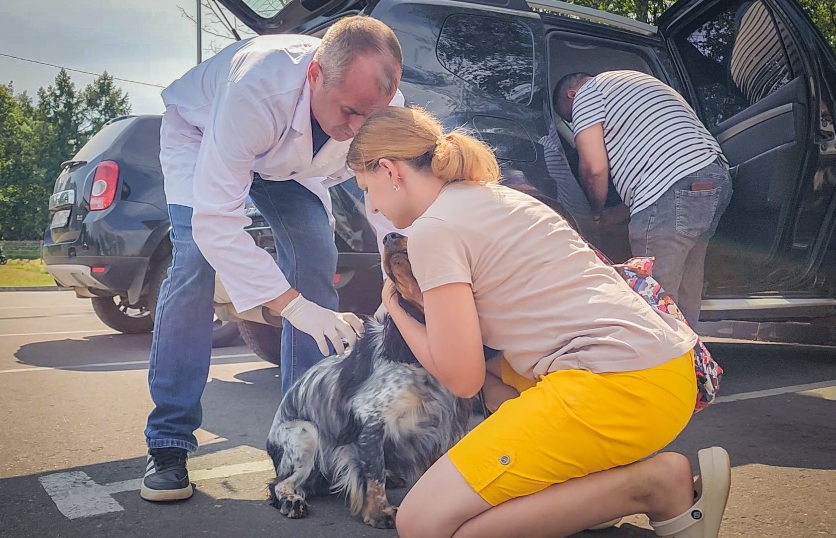 бронницы, чипирование животных в бронницах, вакцинация животных в бронницах,выездная регистрация домашних животных,