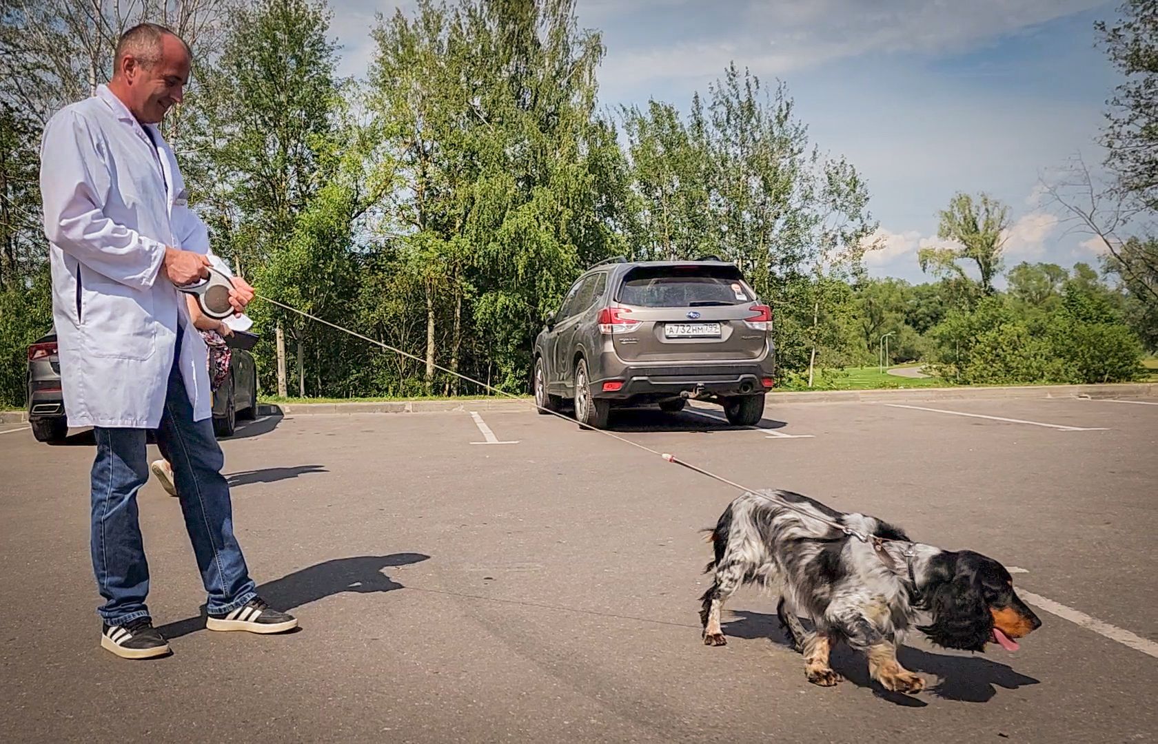 бронницы, чипирование животных в бронницах, вакцинация животных в бронницах,выездная регистрация домашних животных,