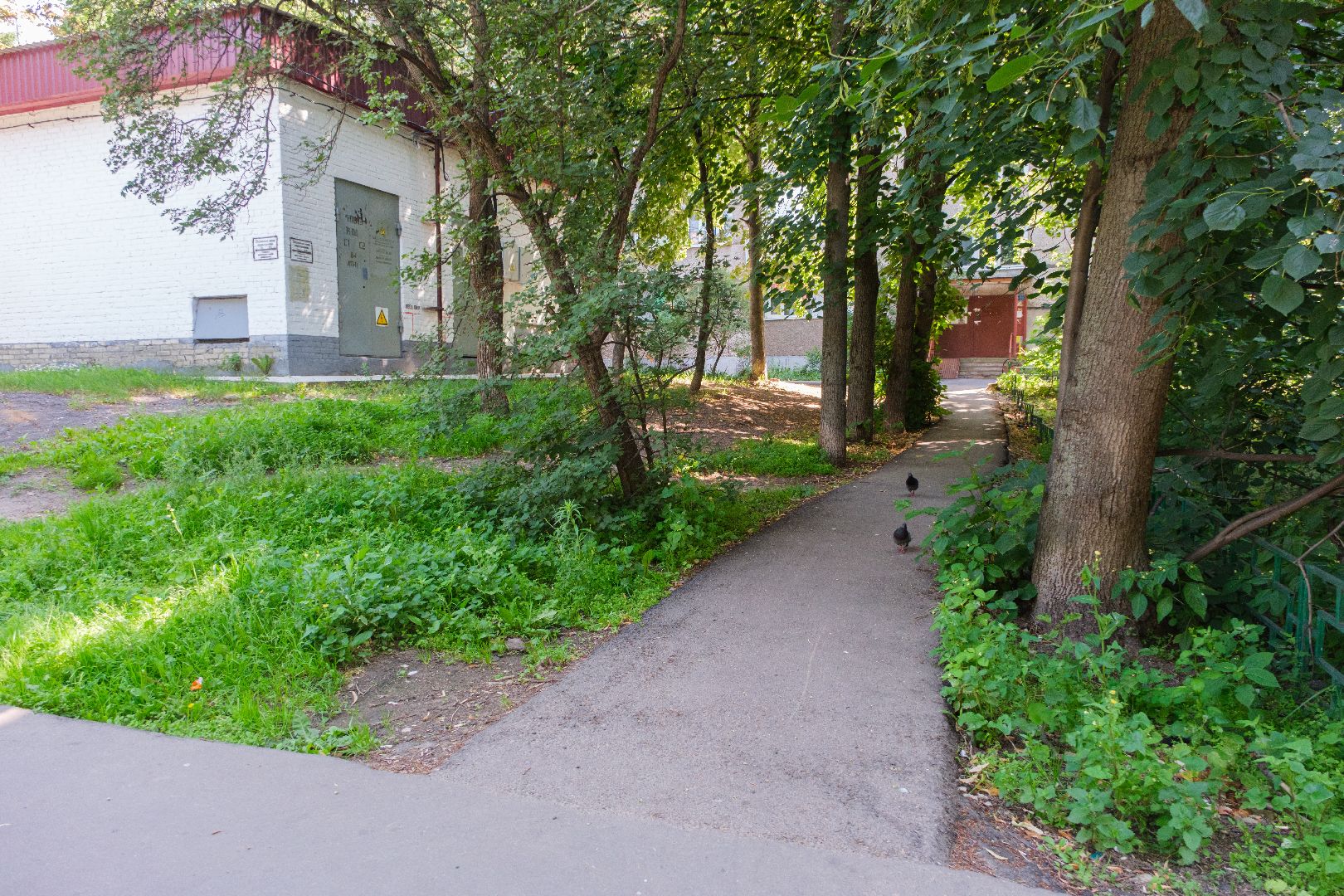 лыткарино, жкх, пешком, народные тропы,