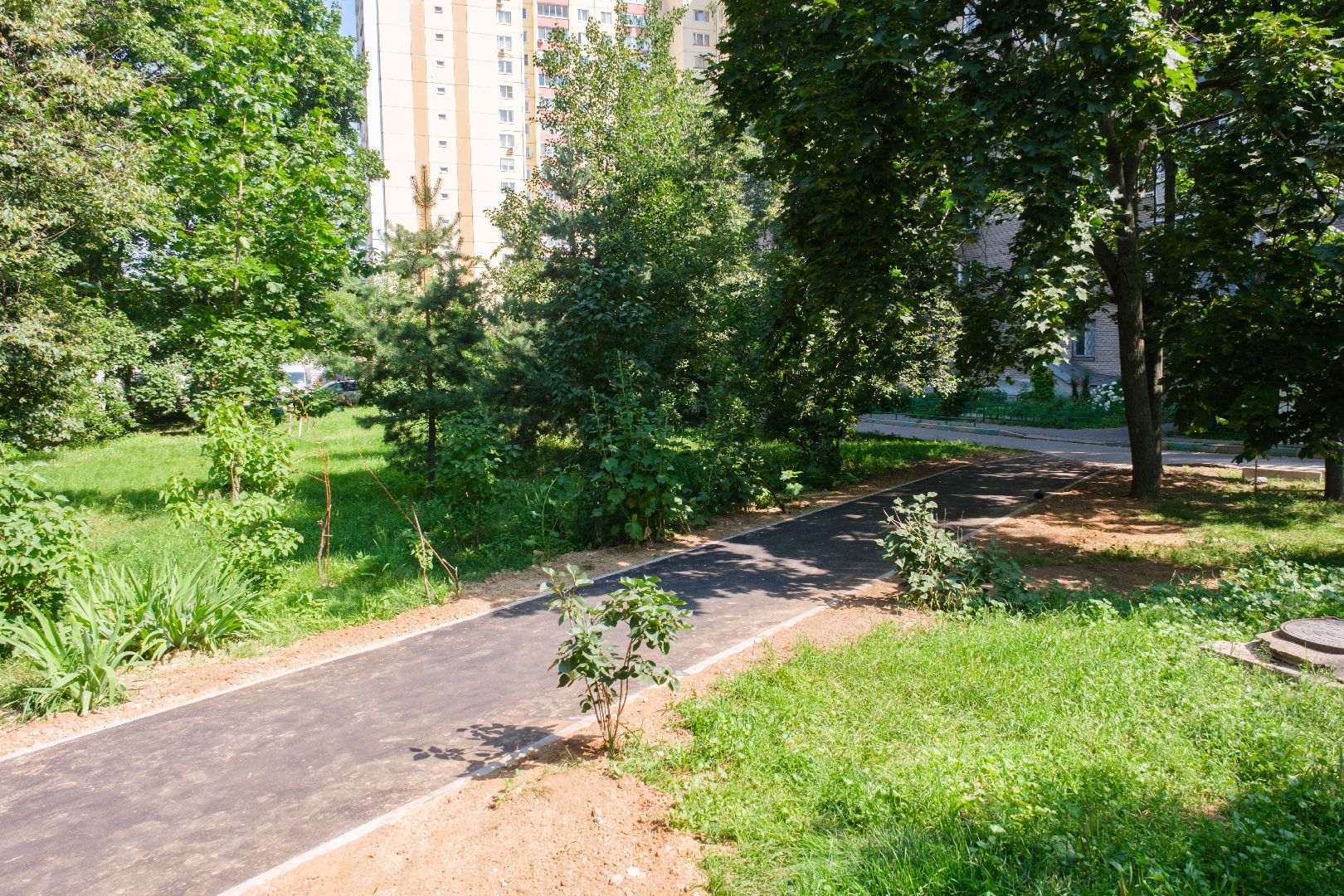 лыткарино, жкх, пешком, народные тропы,