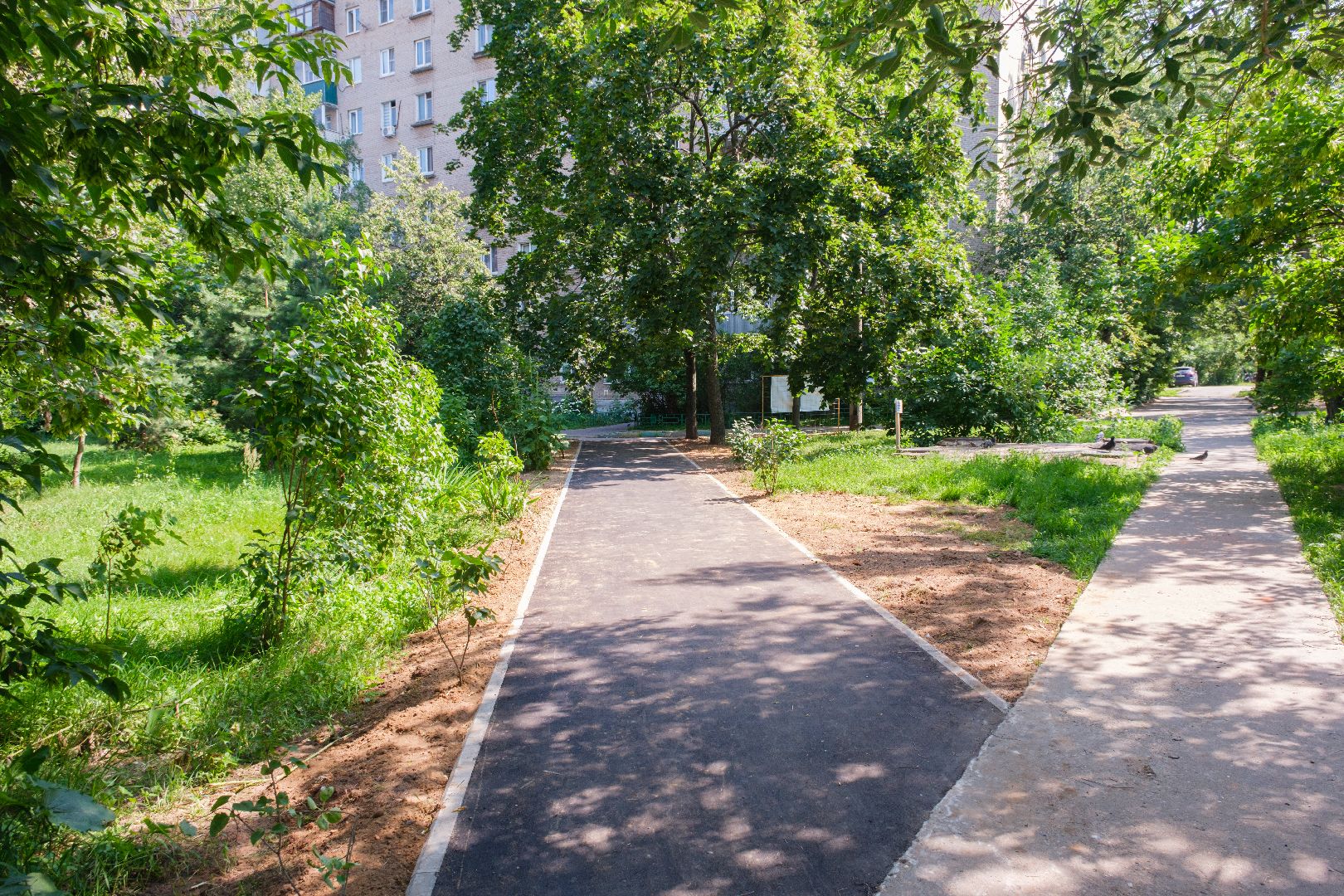 лыткарино, жкх, пешком, народные тропы,