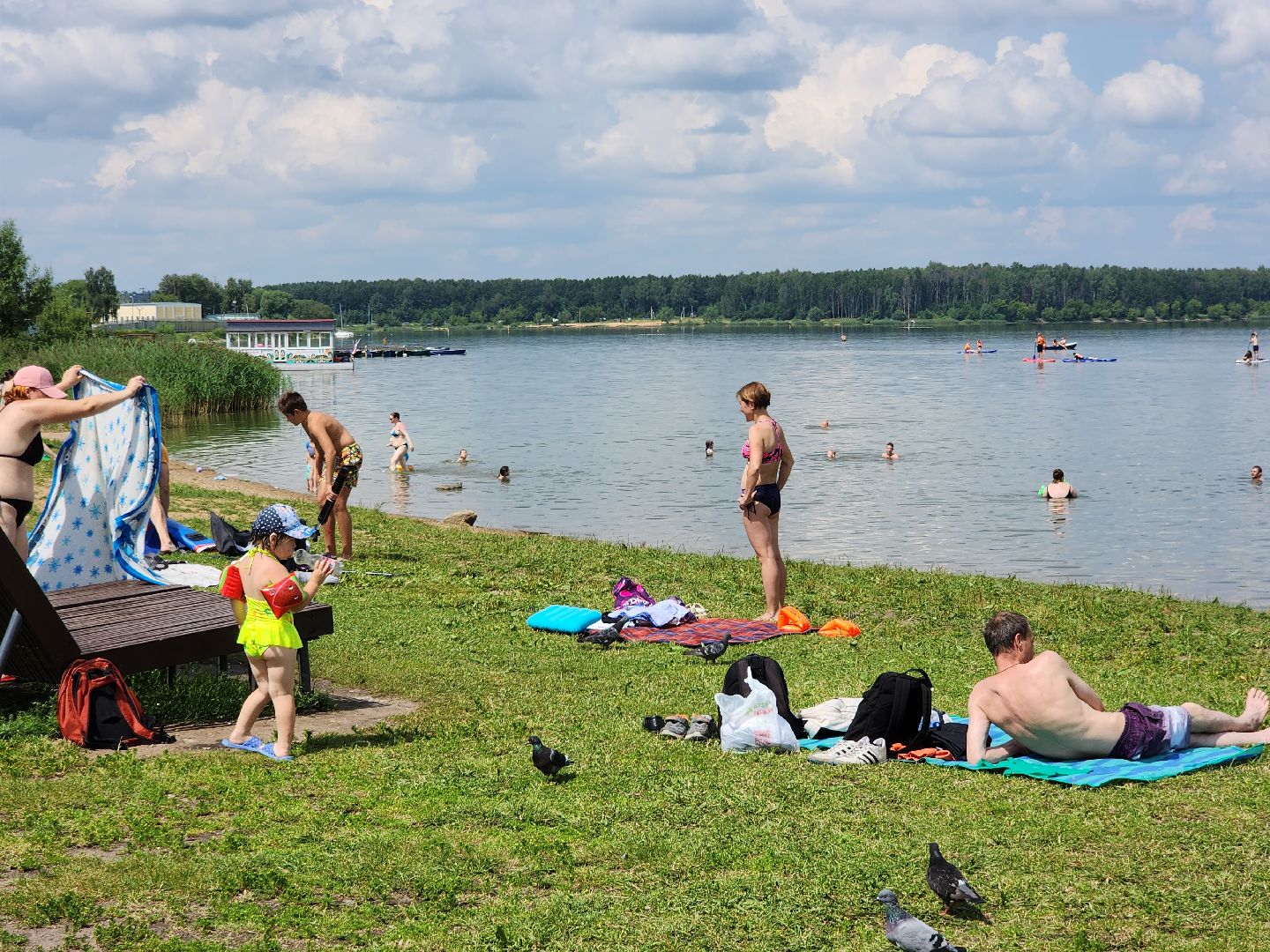 солнечногорск, лето, озеро, сенеж, безопасность ,