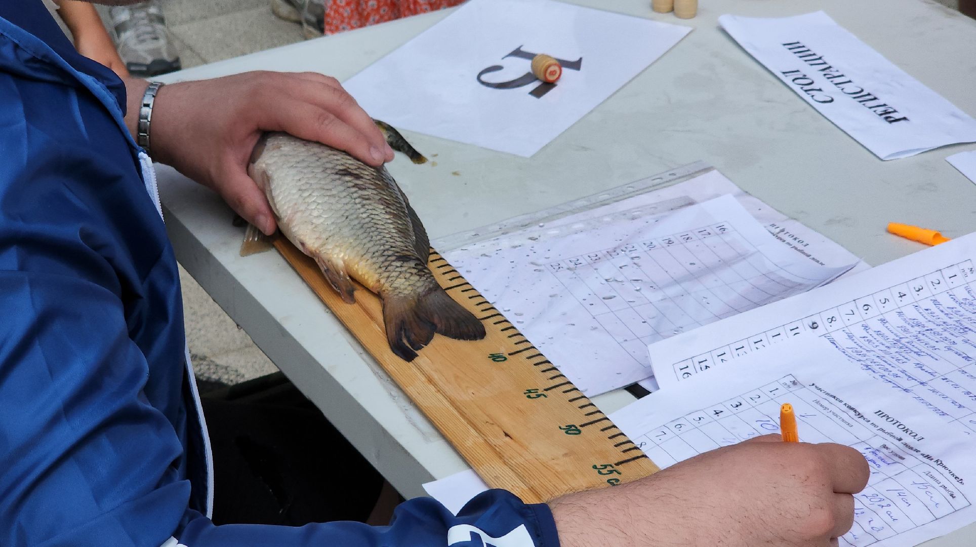 день рыбака, рыбалка, черепаха, набережная, лосино-петровский,