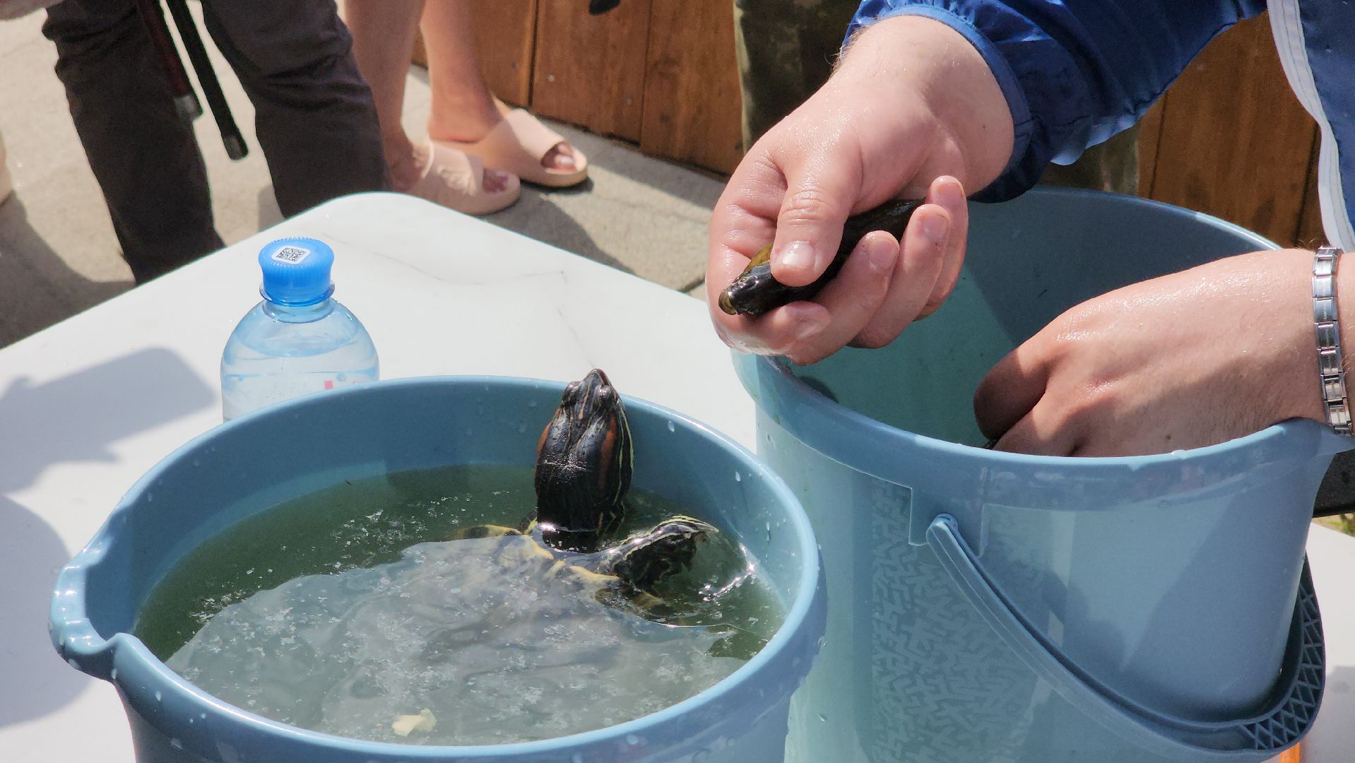 день рыбака, рыбалка, черепаха, набережная, лосино-петровский,