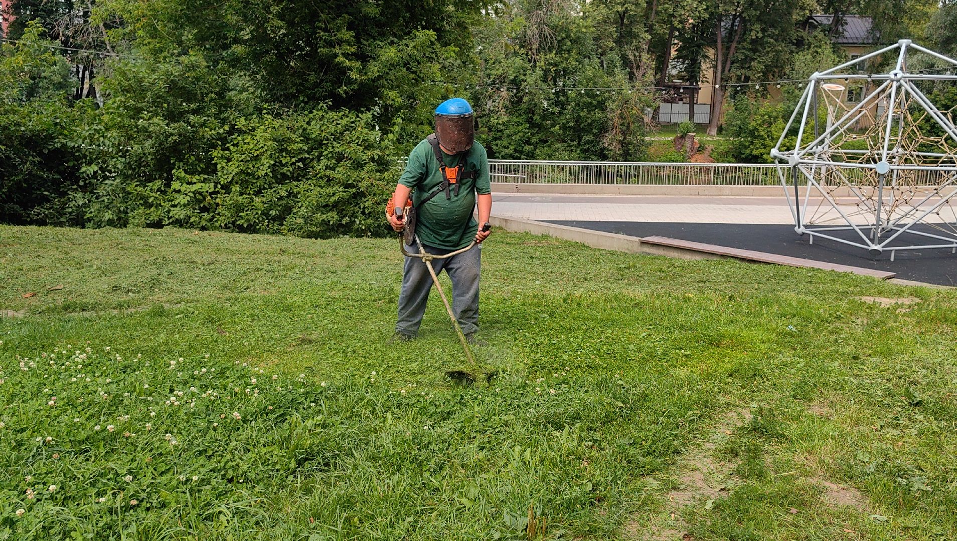 газон, ландшафт, мусор, лужайка,