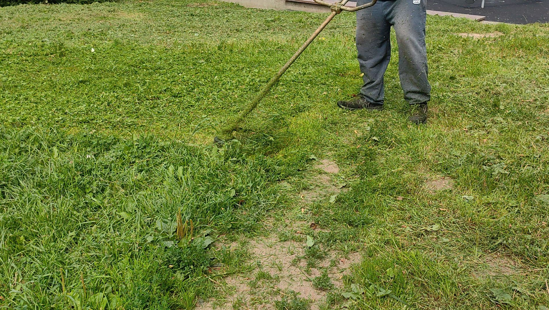 газон, ландшафт, мусор, лужайка,