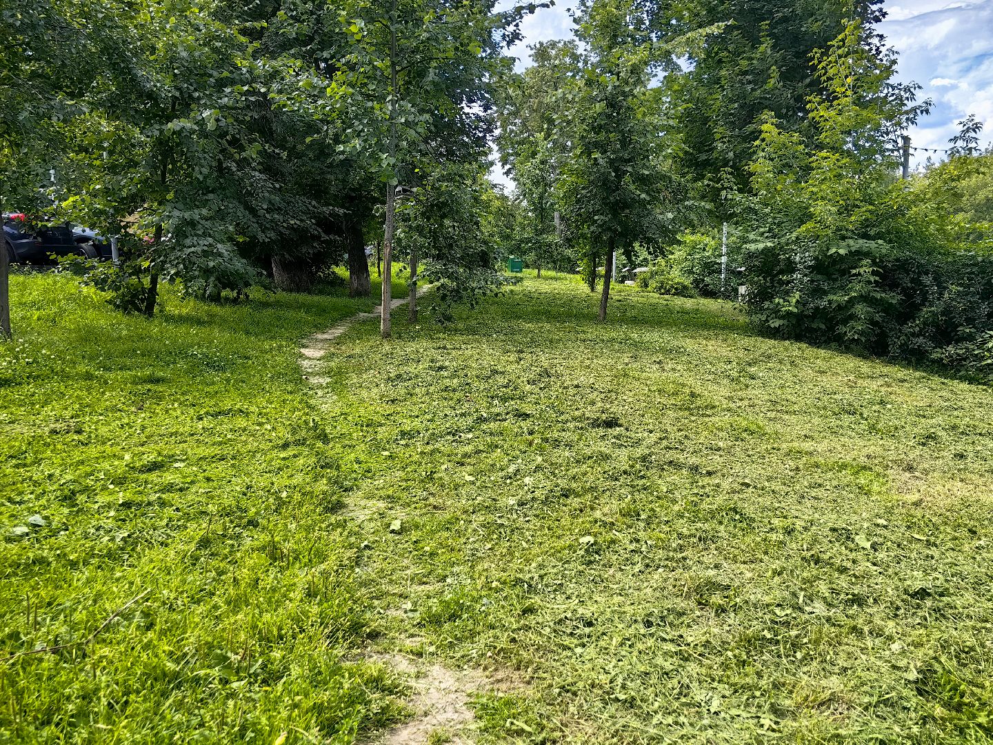 газон, ландшафт, мусор, лужайка,