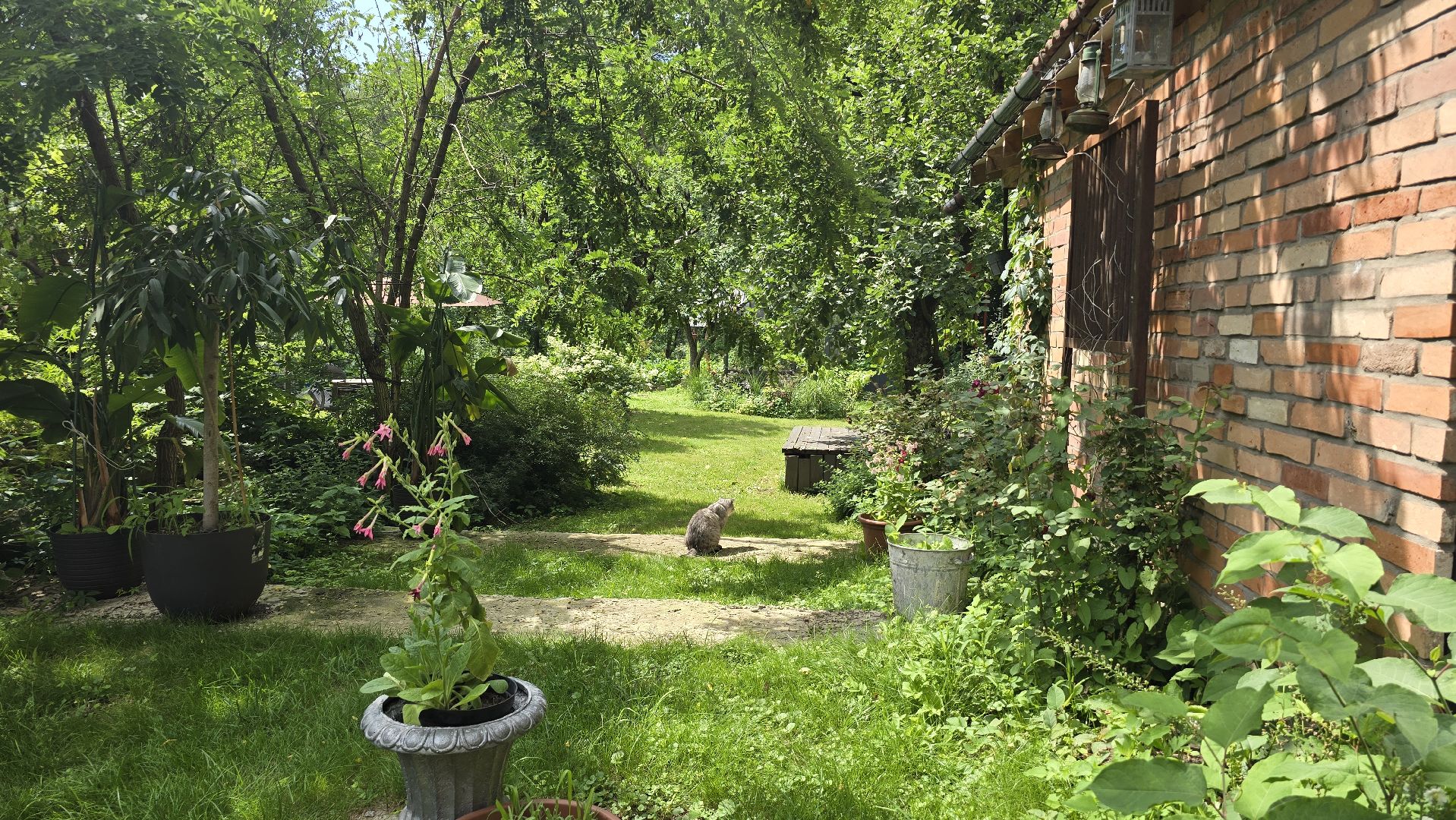 Коломна, туризм, арт-пространство,