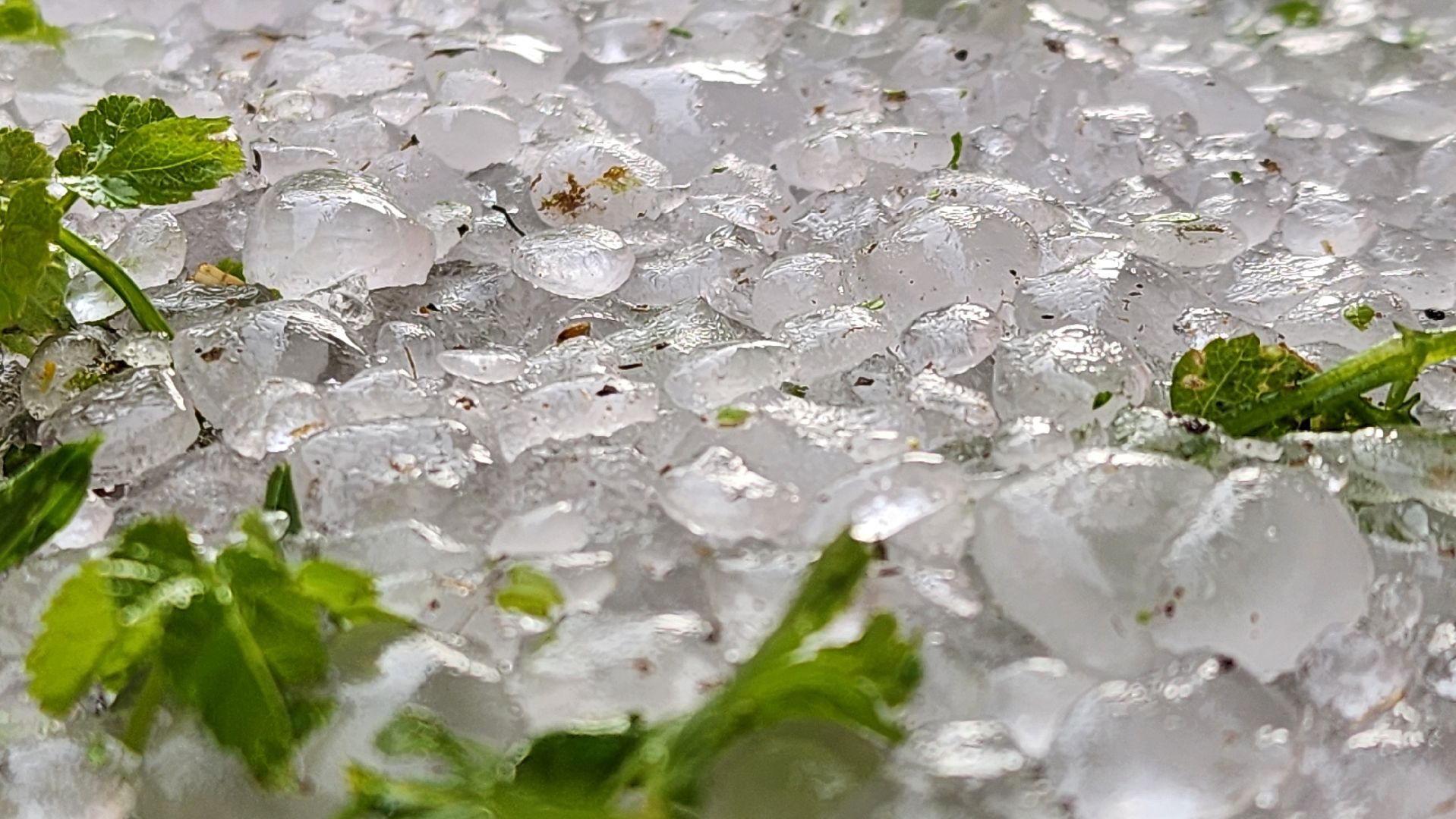 Град, Можайск, Непогода, Ливень,